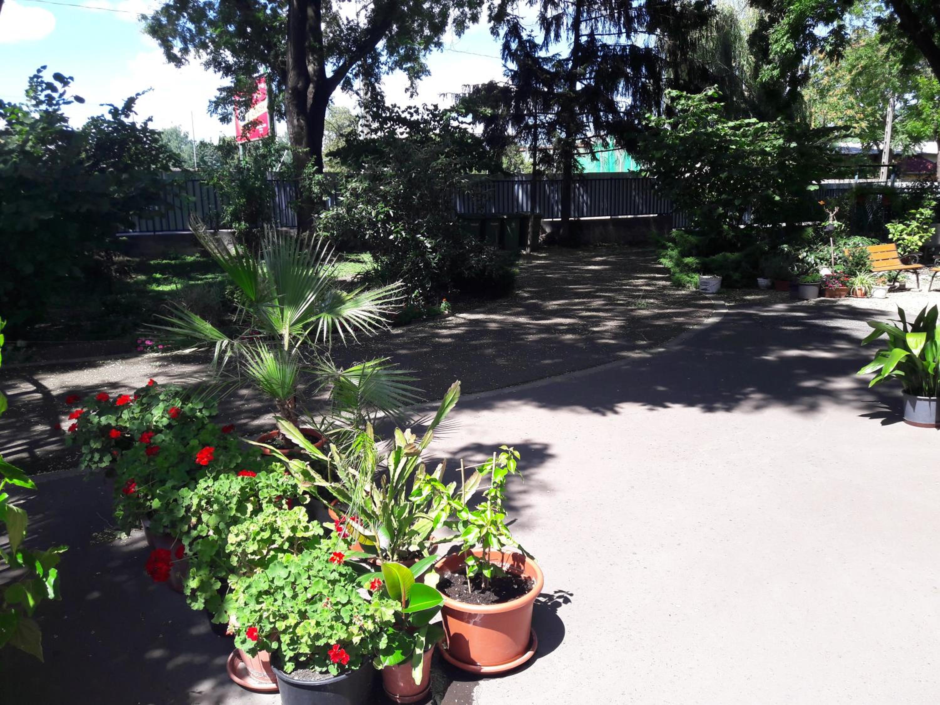 Photo 21