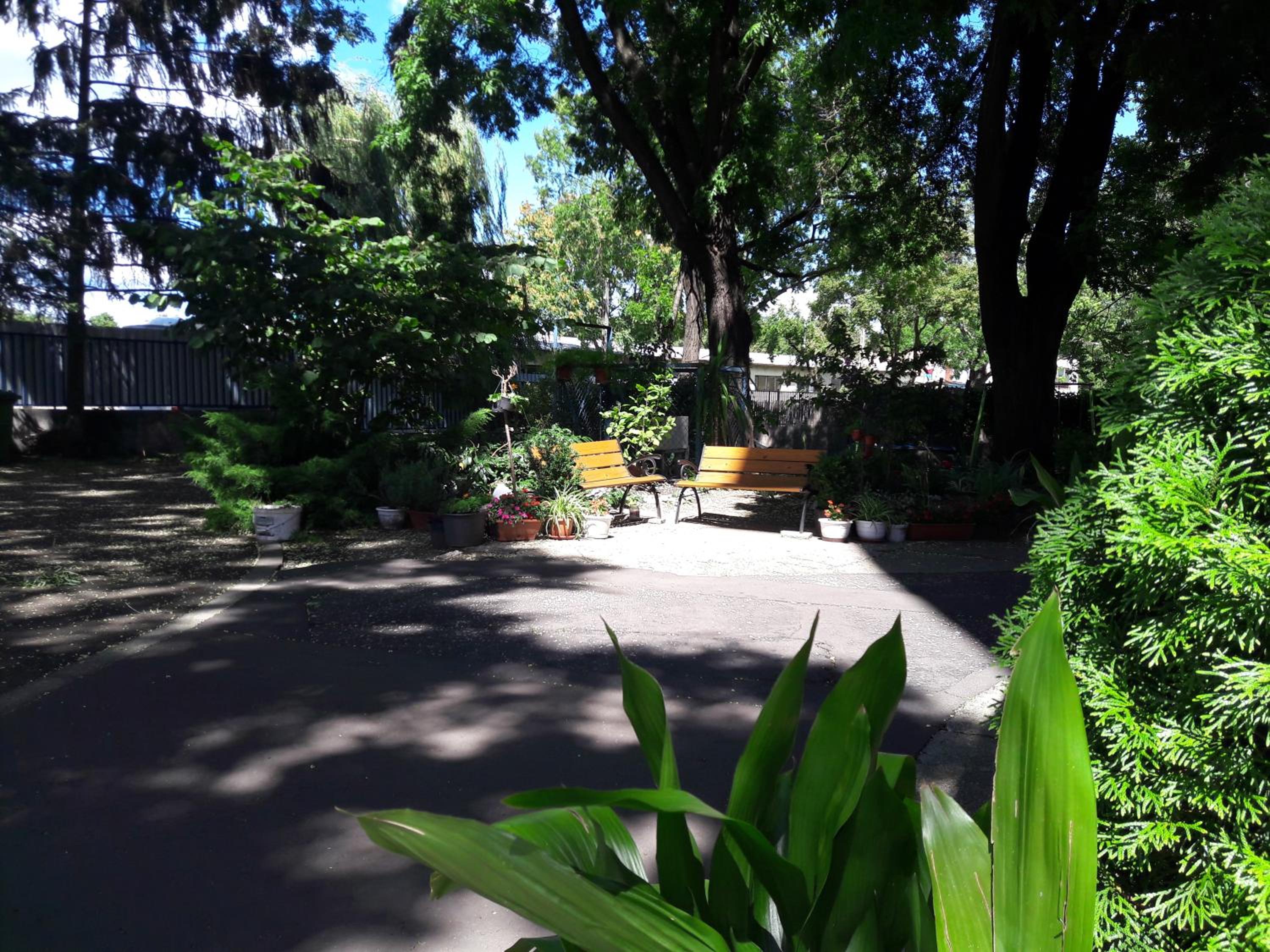 Photo 20