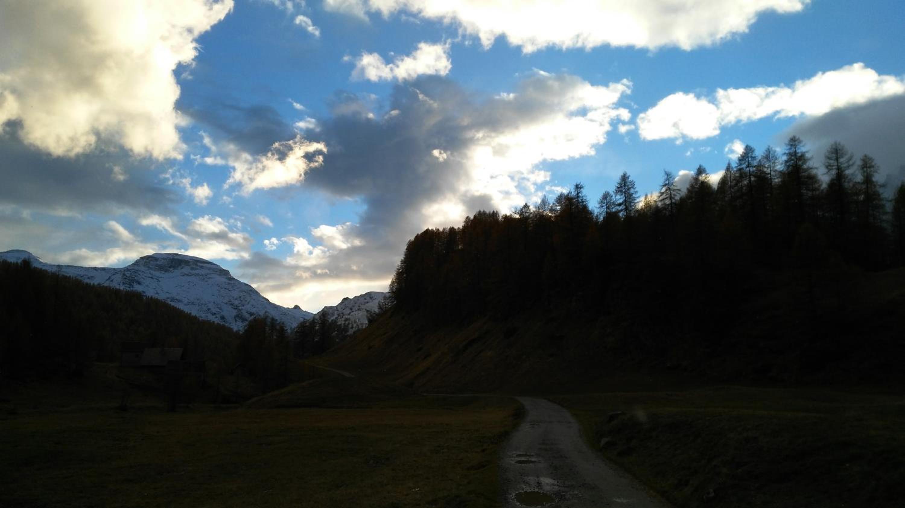 Photo 25