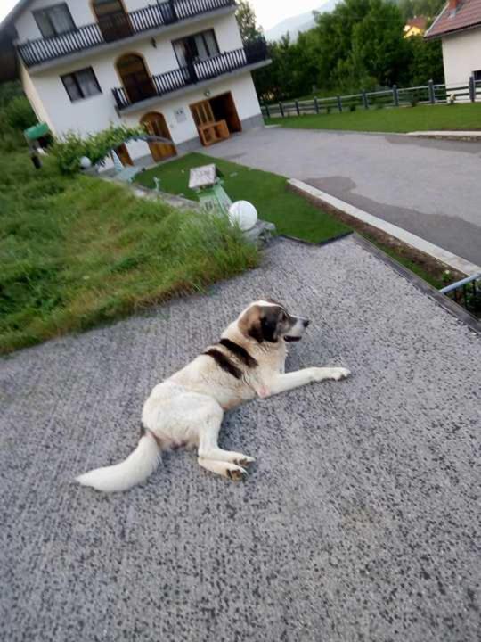 Holiday Home Nana