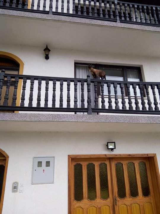 Holiday Home Nana