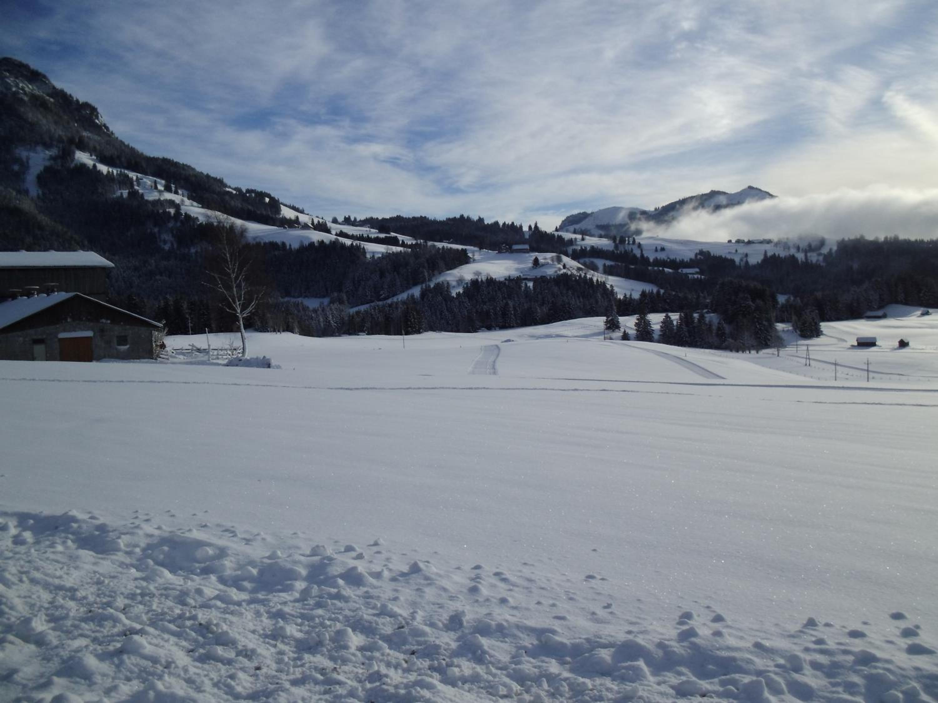 Weideblick en Tauplitz