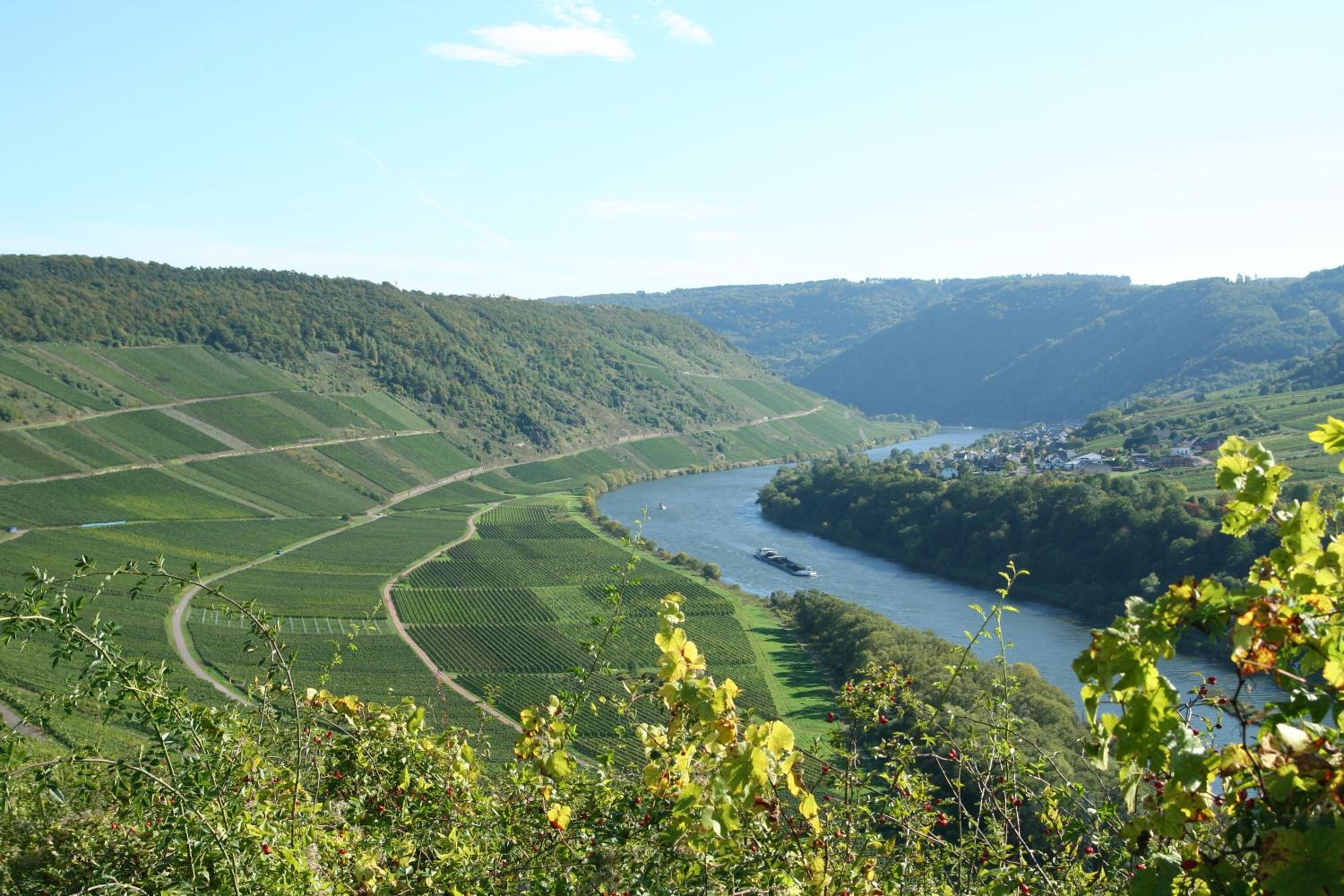 Ferienweingut Hensler
