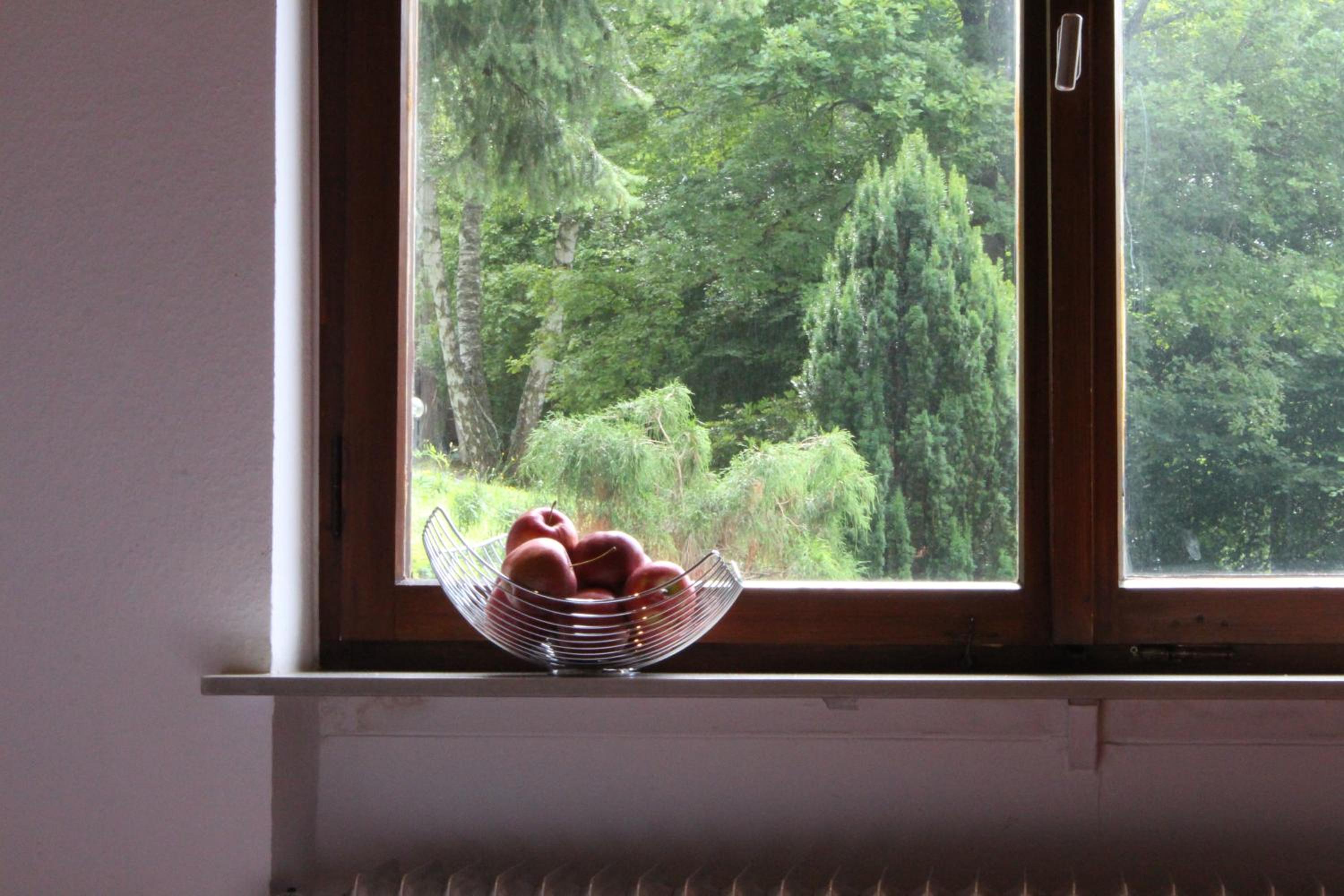 Haus am Wald, photo 46