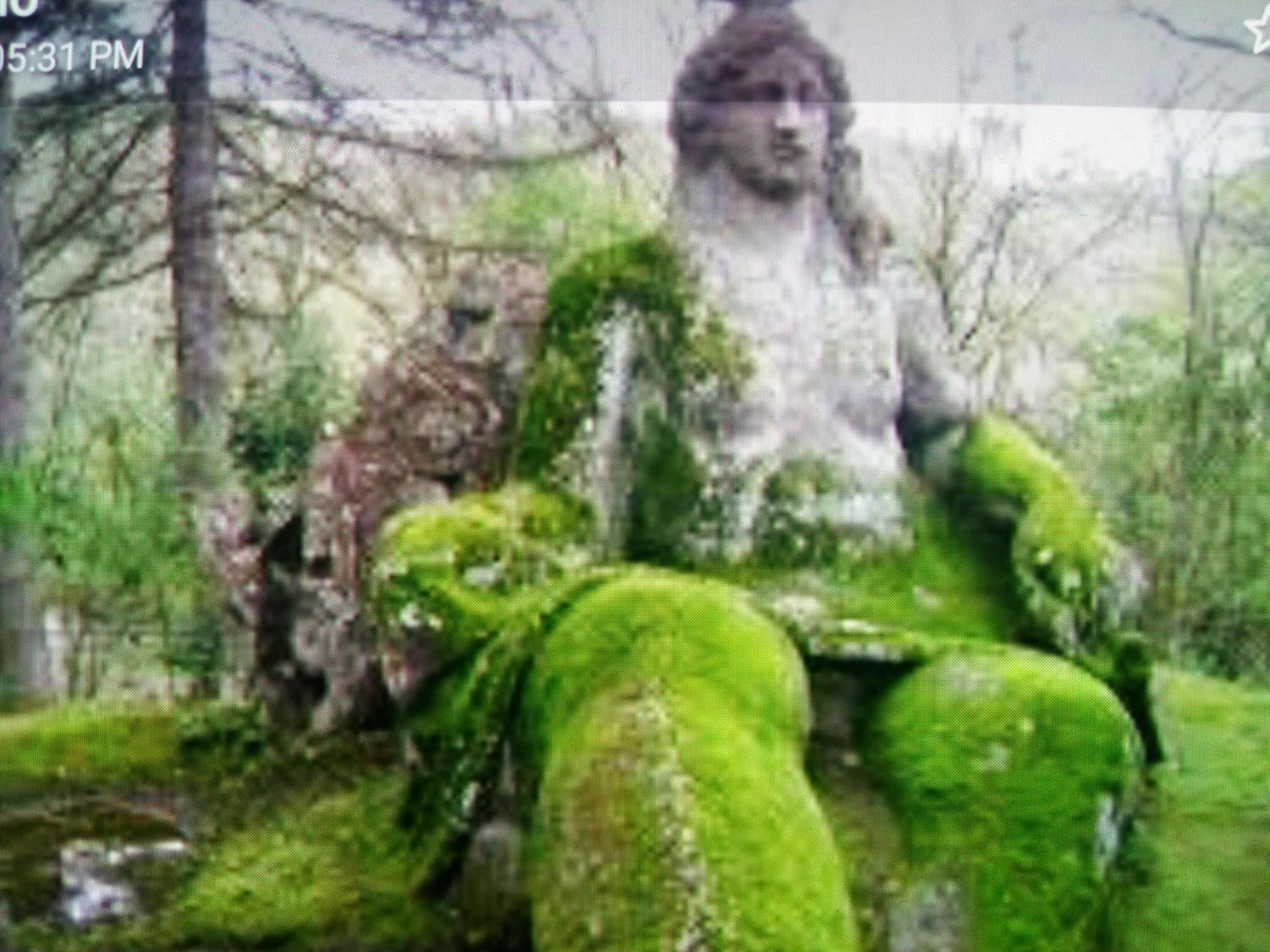 Photo 43