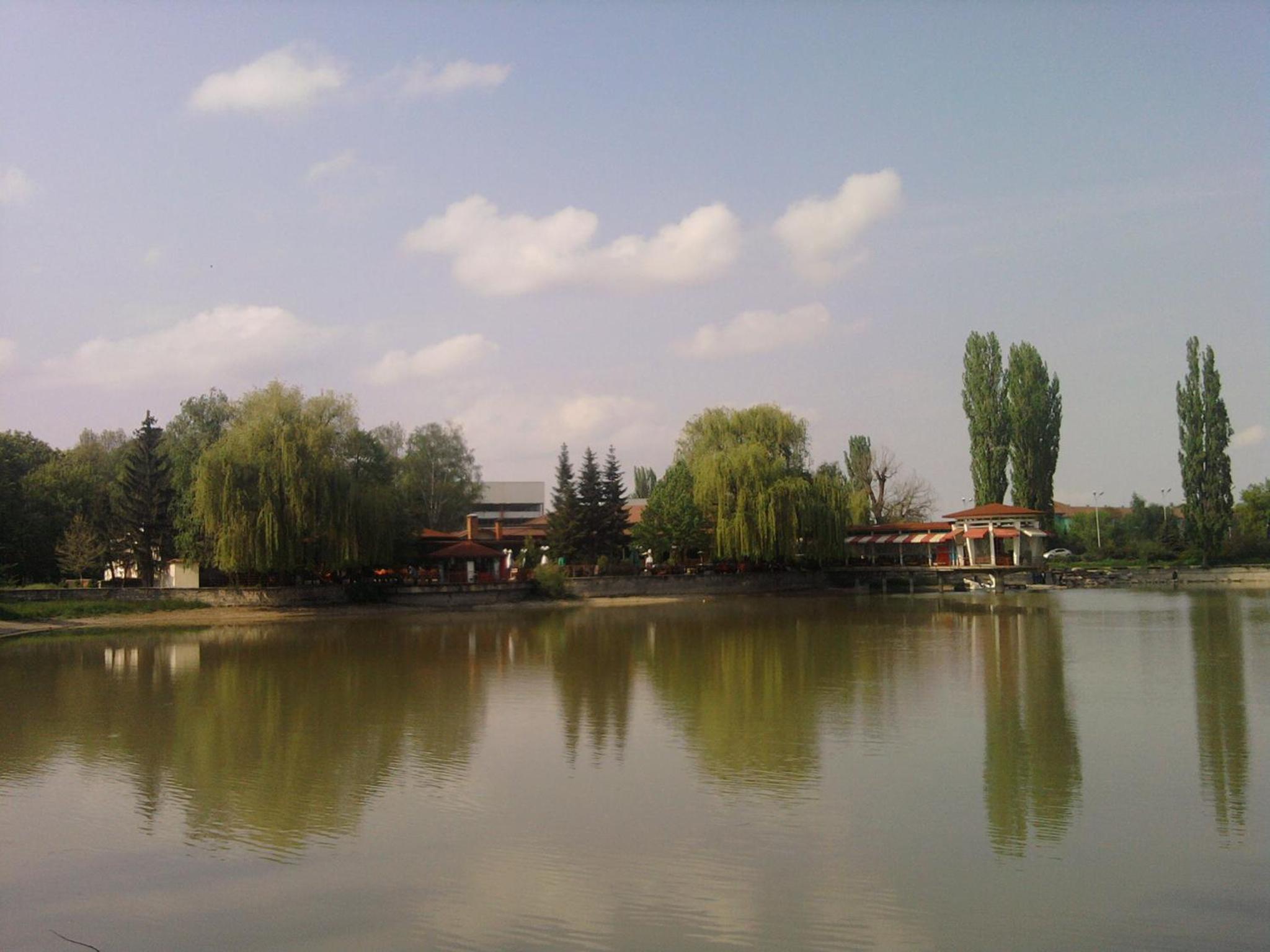 Photo 20