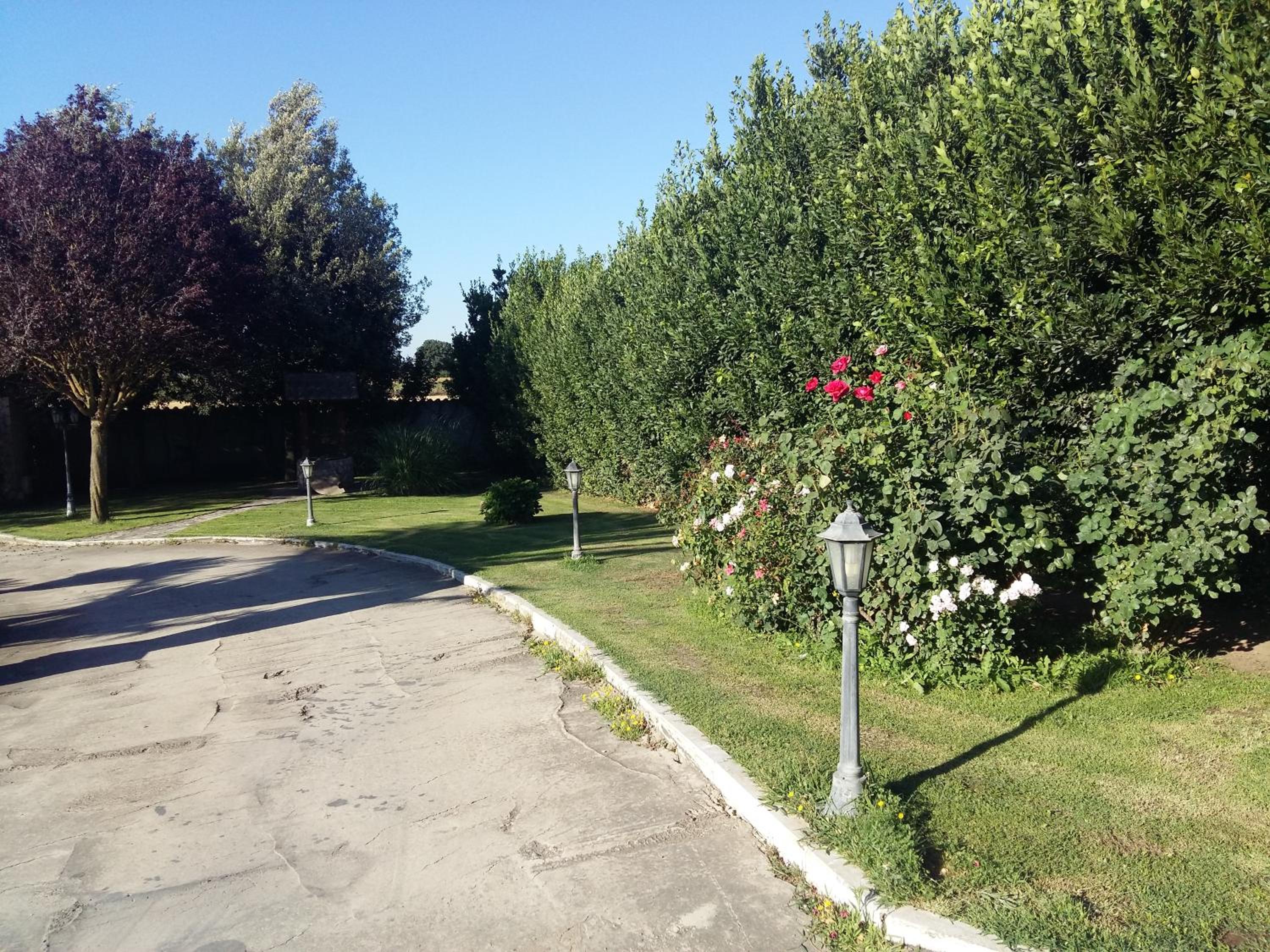 Photo 6