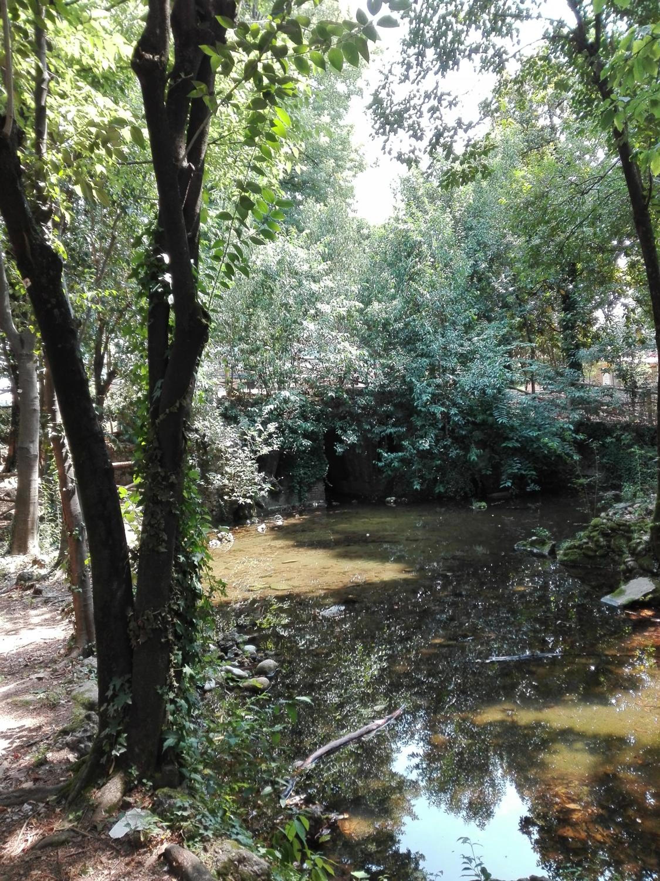 Photo 40