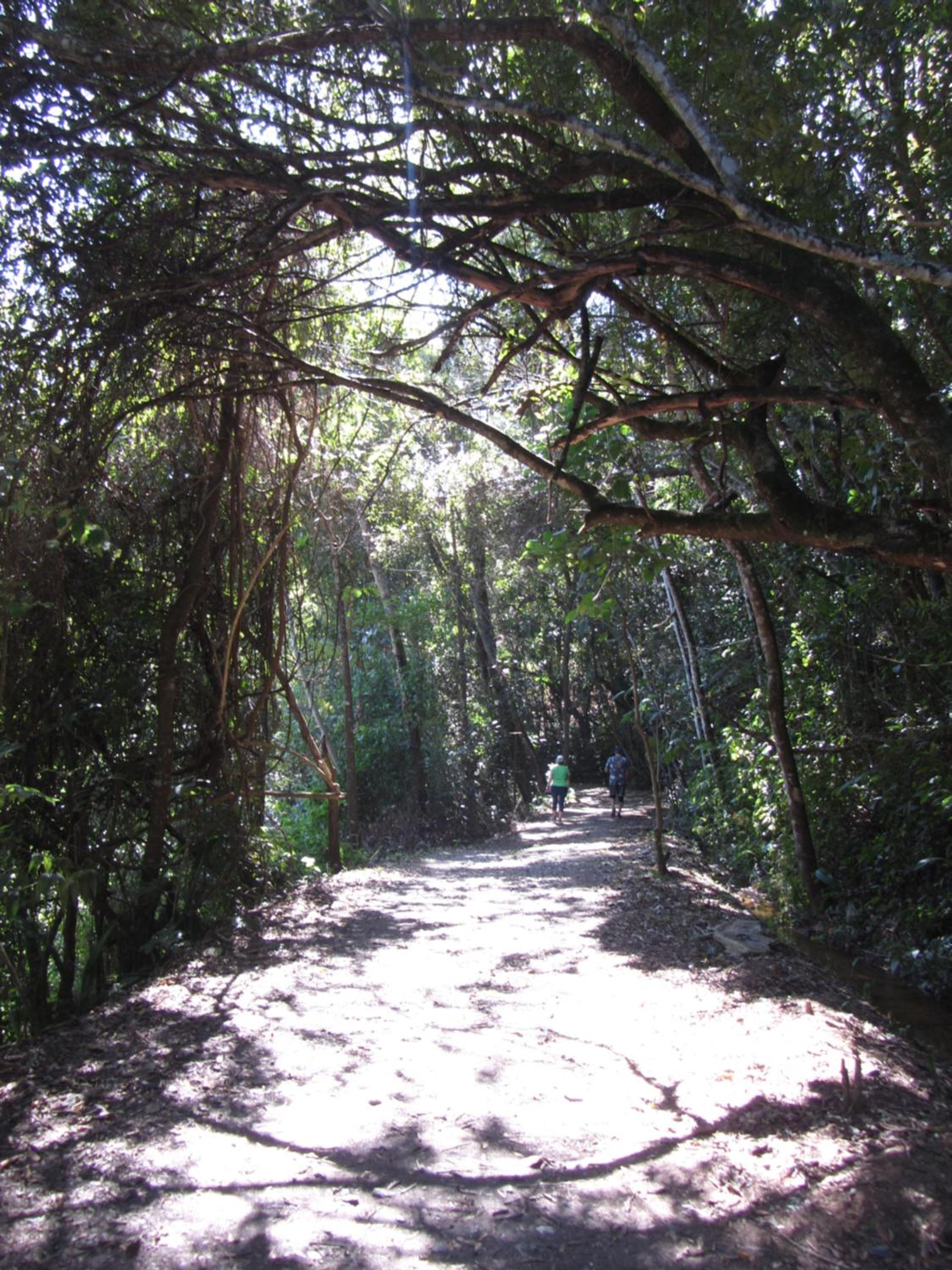 Photo 25