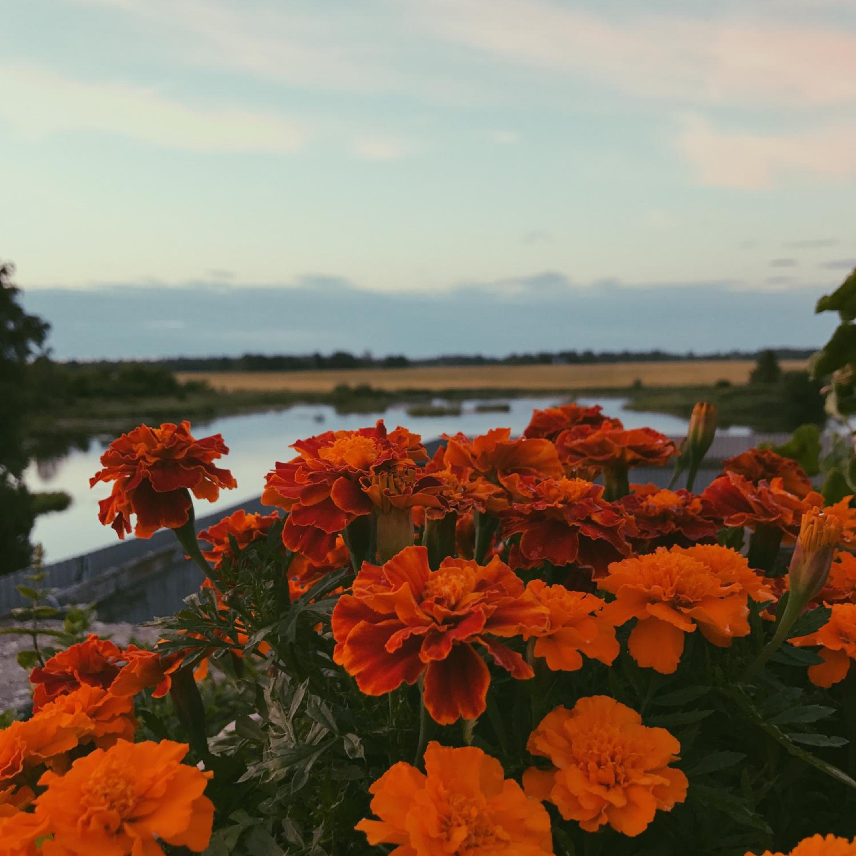 Ilmatsalu Motell