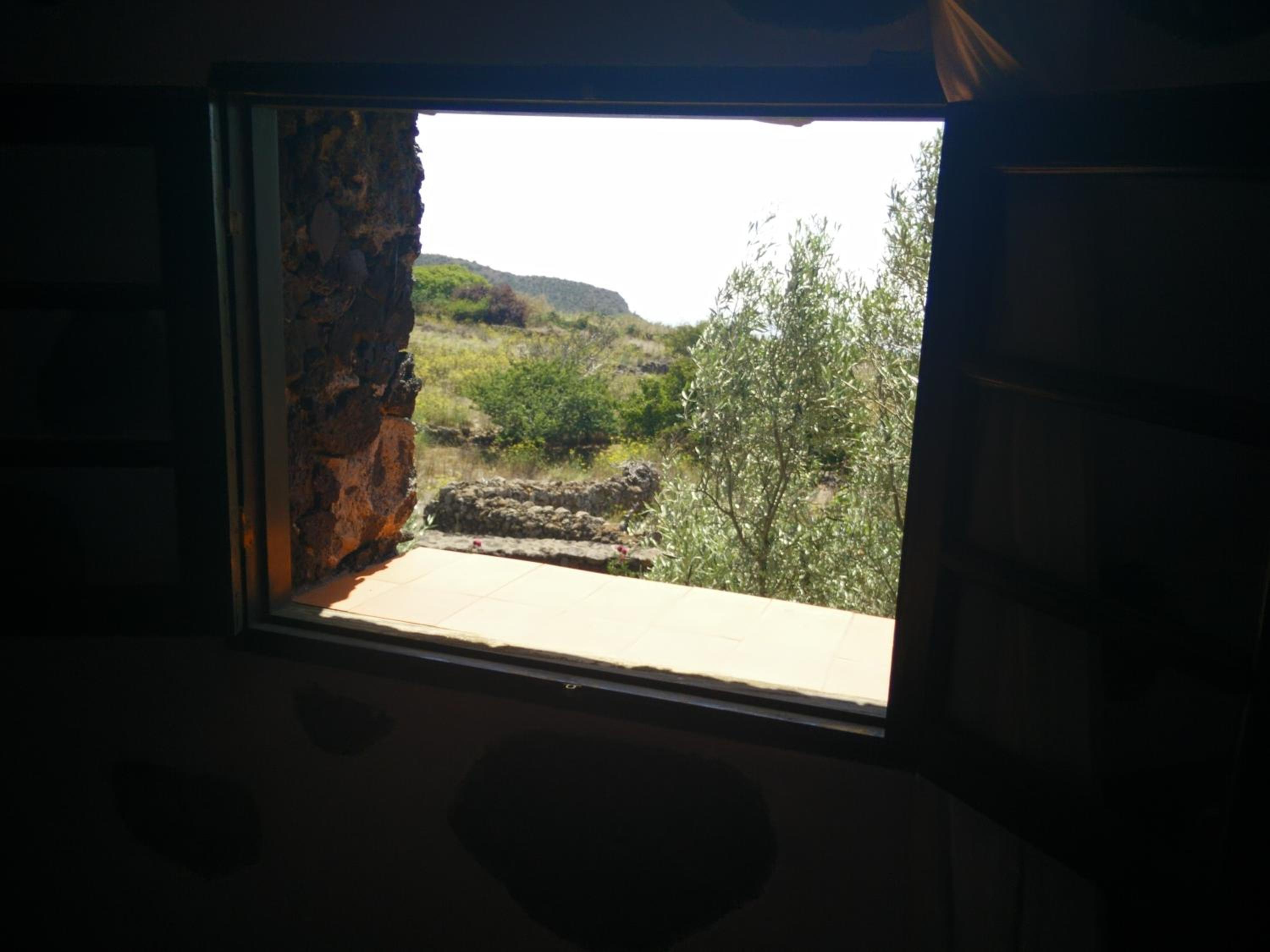 Photo 32