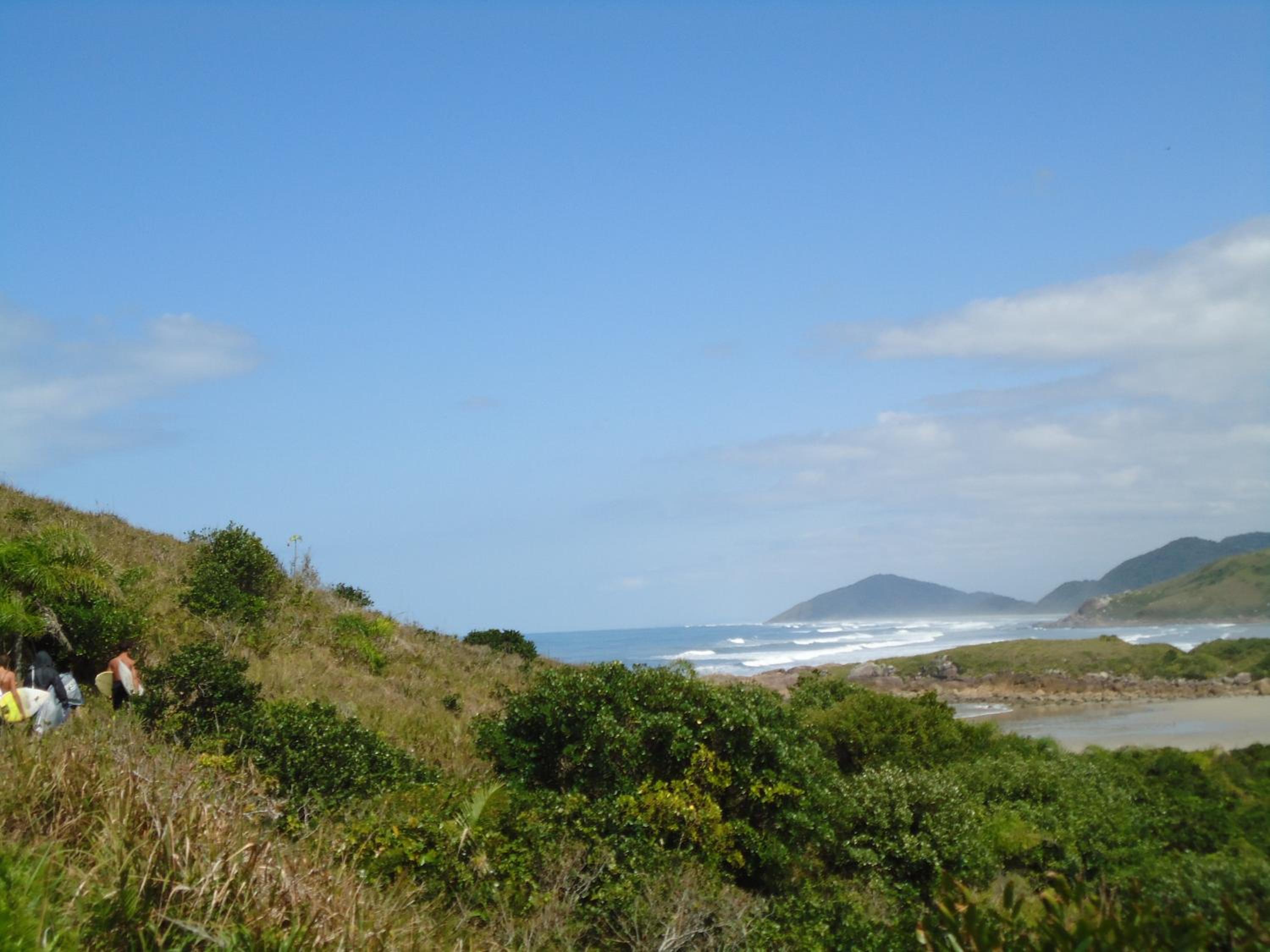 Photo 49