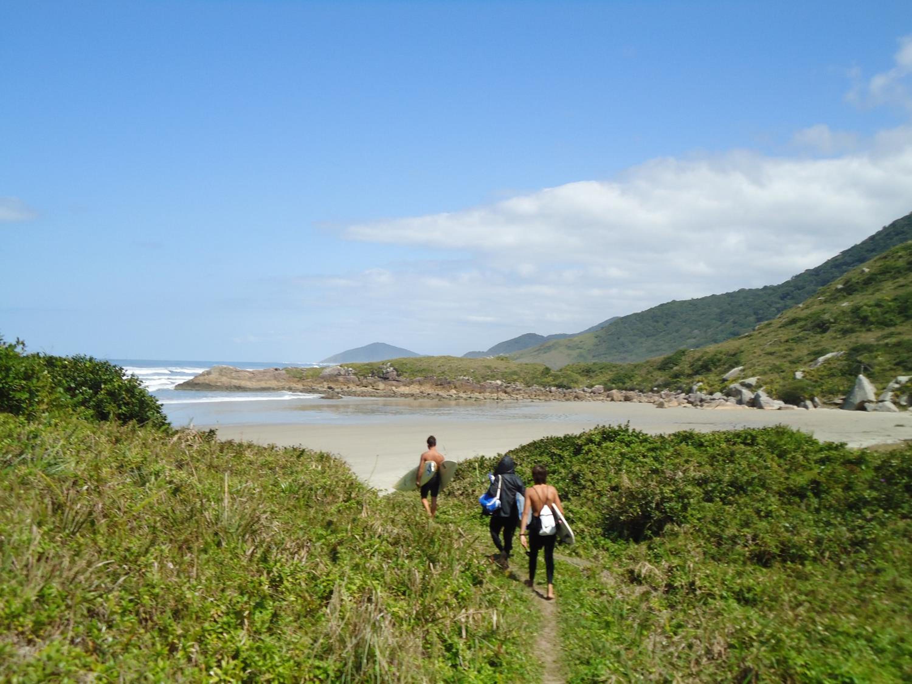 Photo 47