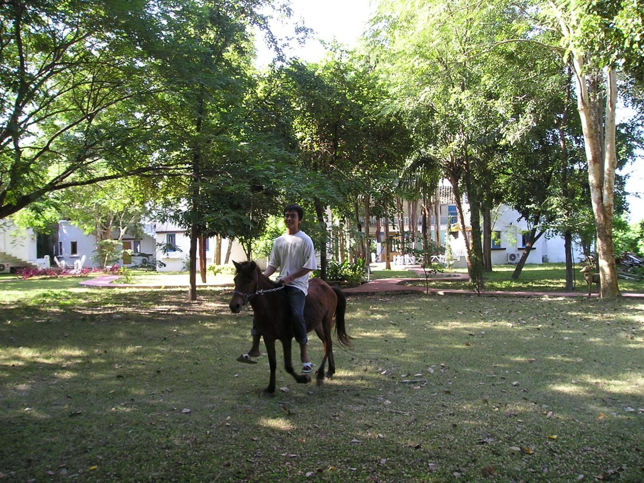 Scenic Riverside Resort