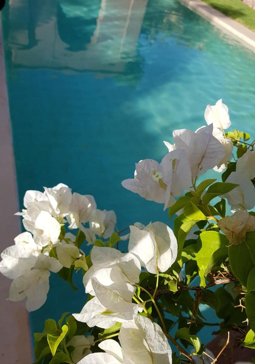 Les Jardins De Touhina