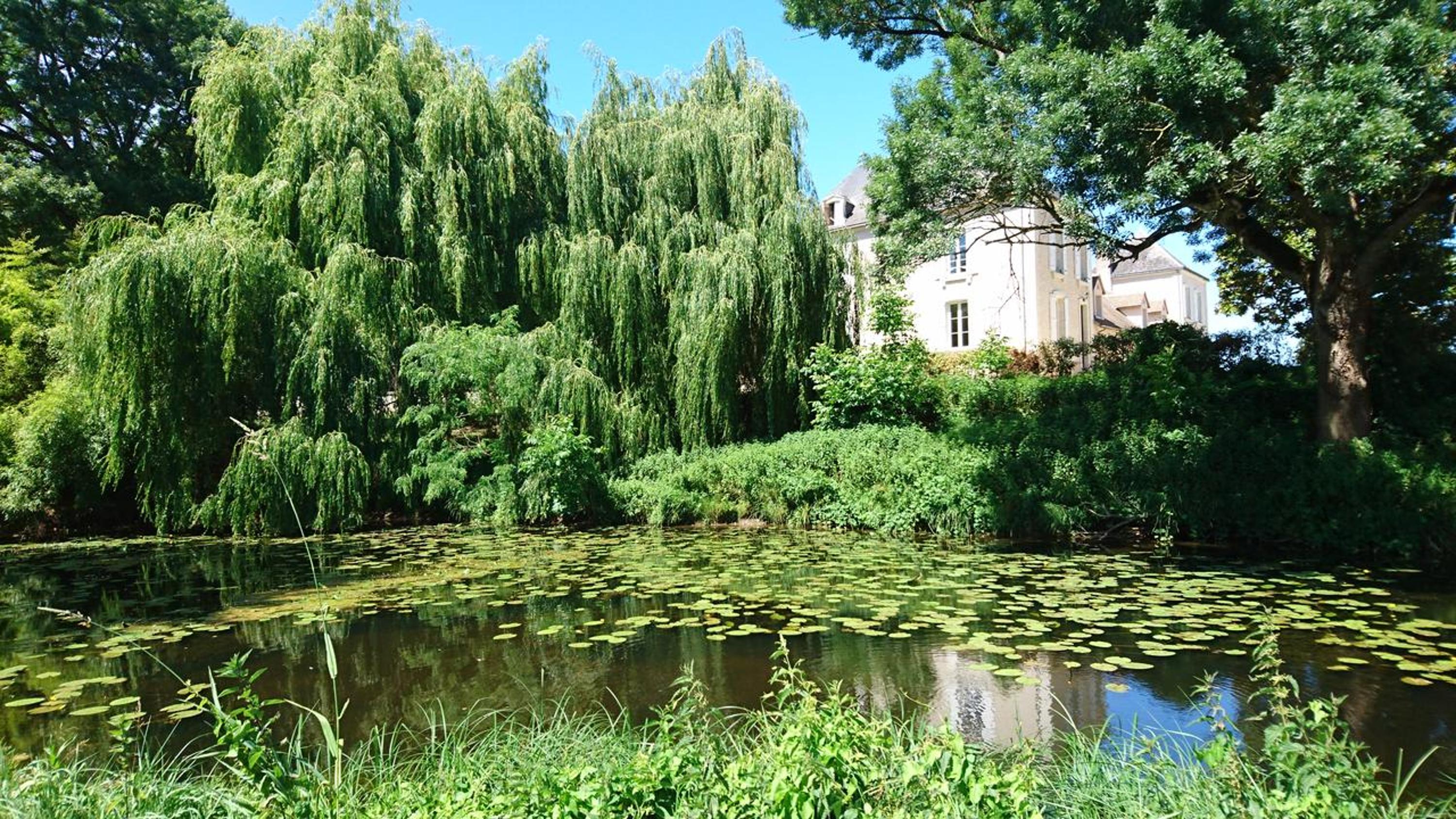 Moulin d'Amour