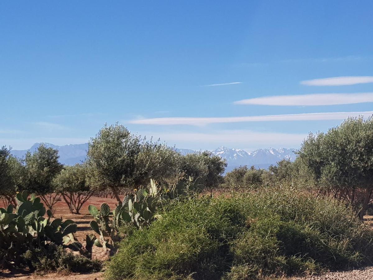 Les Jardins De Touhina