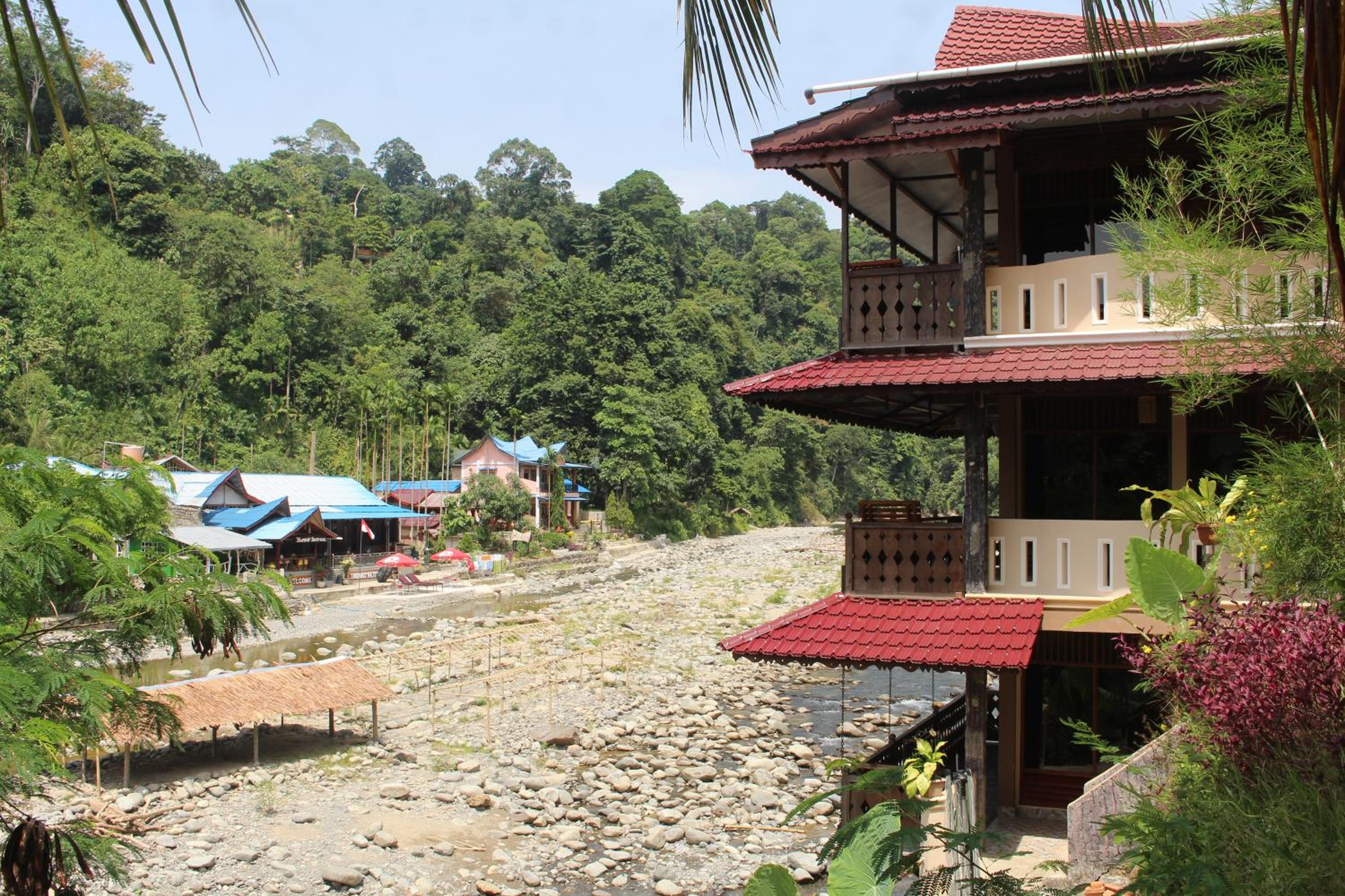Fidodido Guesthouse Jungle trekking only book with us if you stay on here