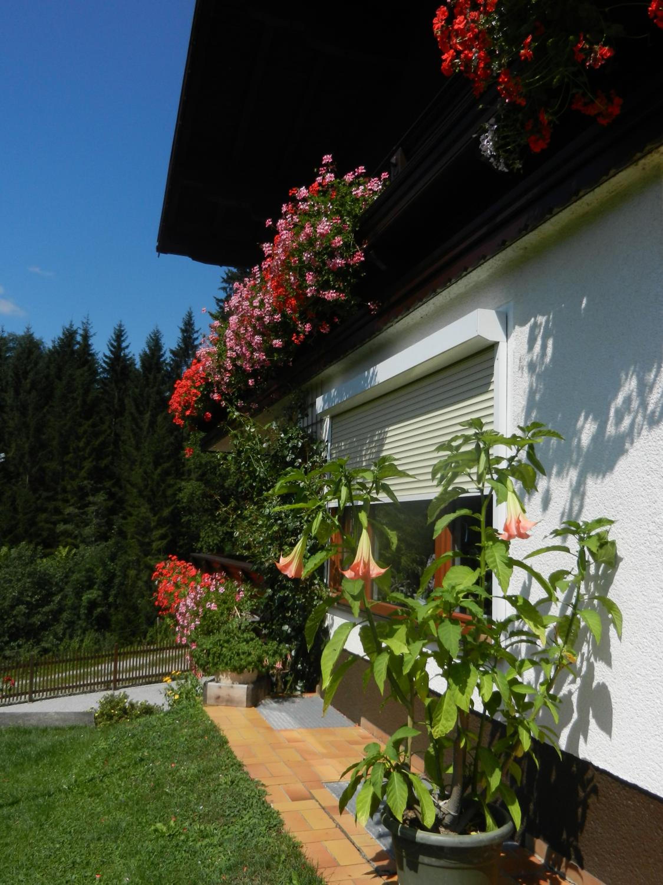 Ferienwohnung Rettenegger