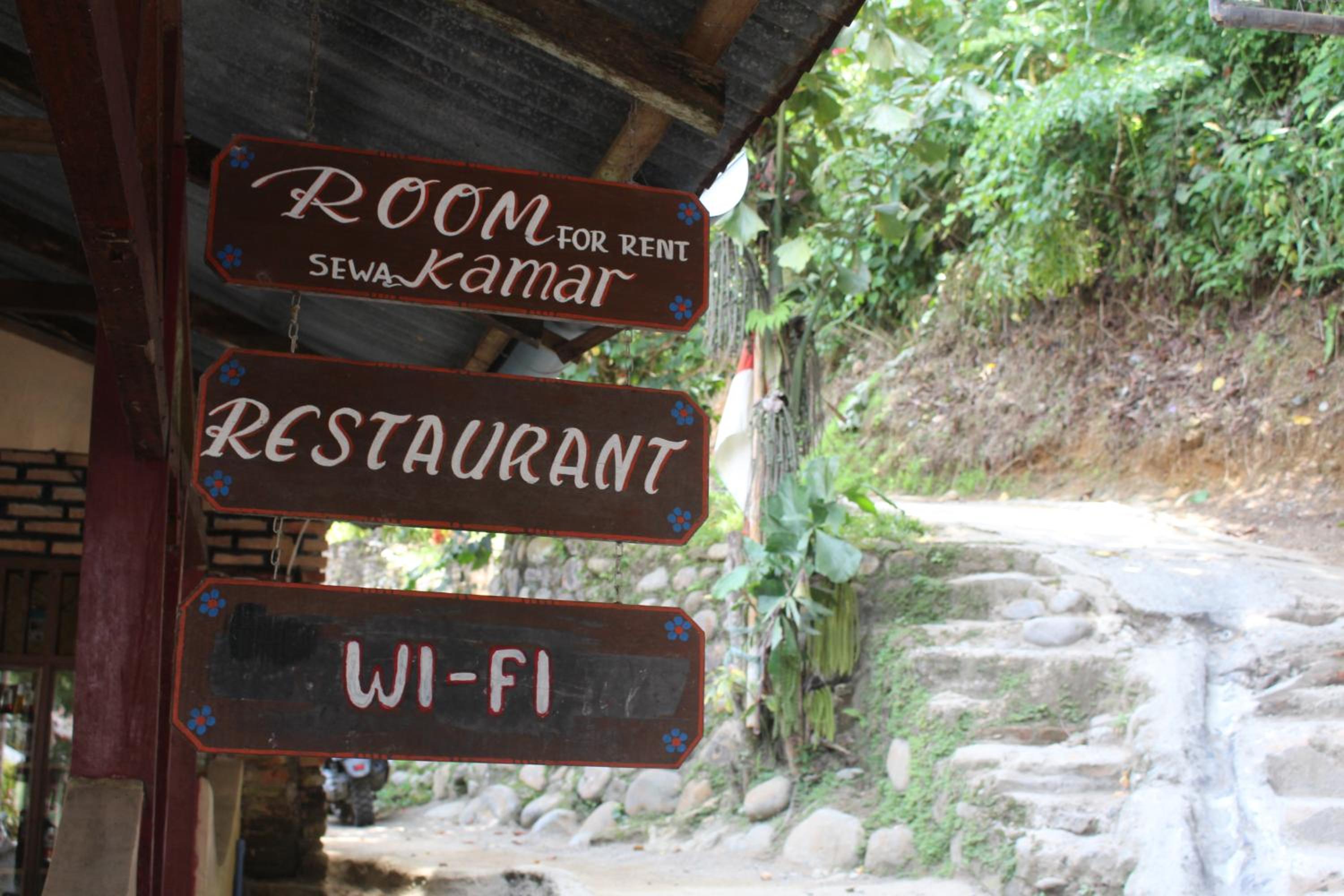 Fidodido Guesthouse Jungle trekking only book with us if you stay on here