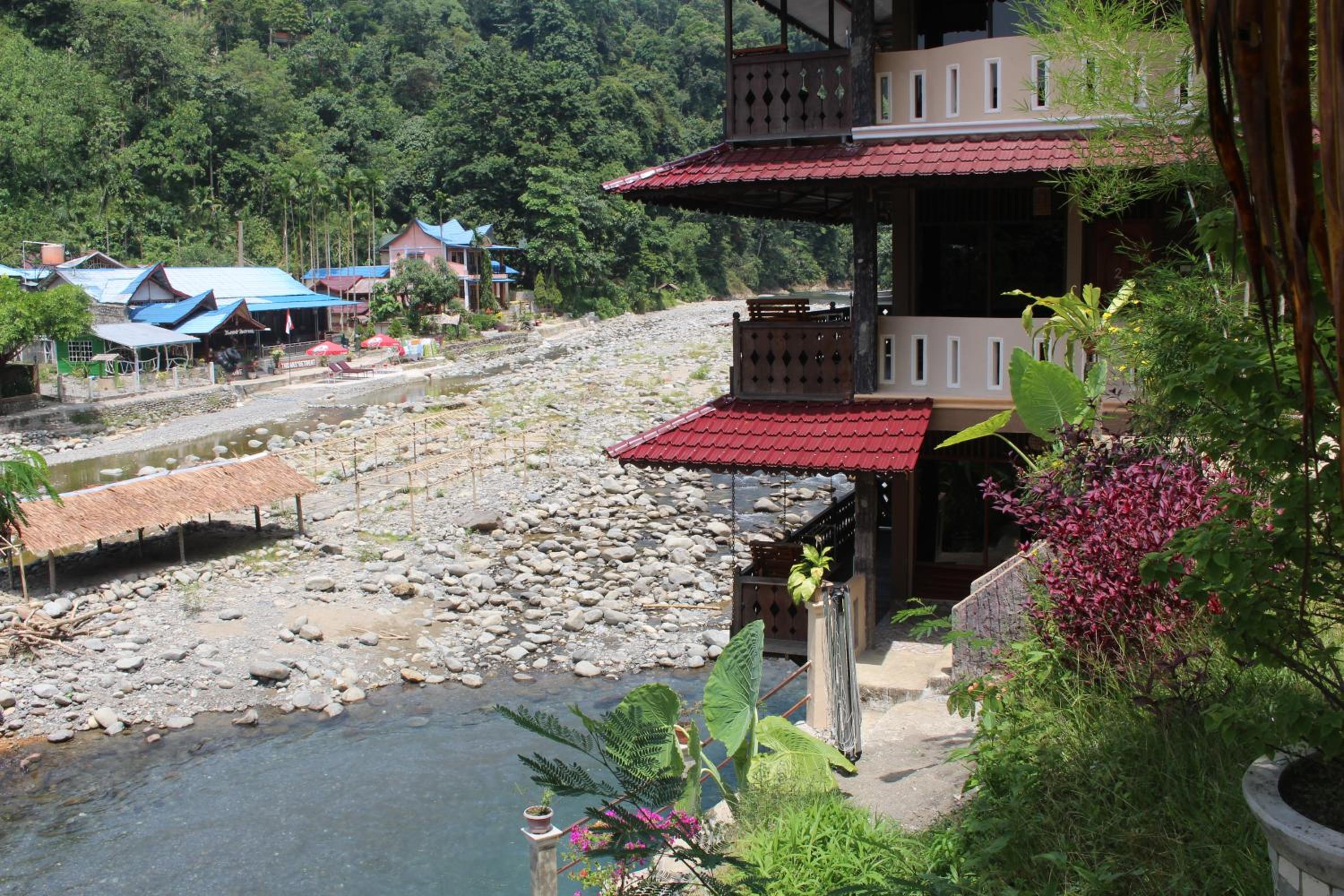 Fidodido Guesthouse Jungle trekking only book with us if you stay on here