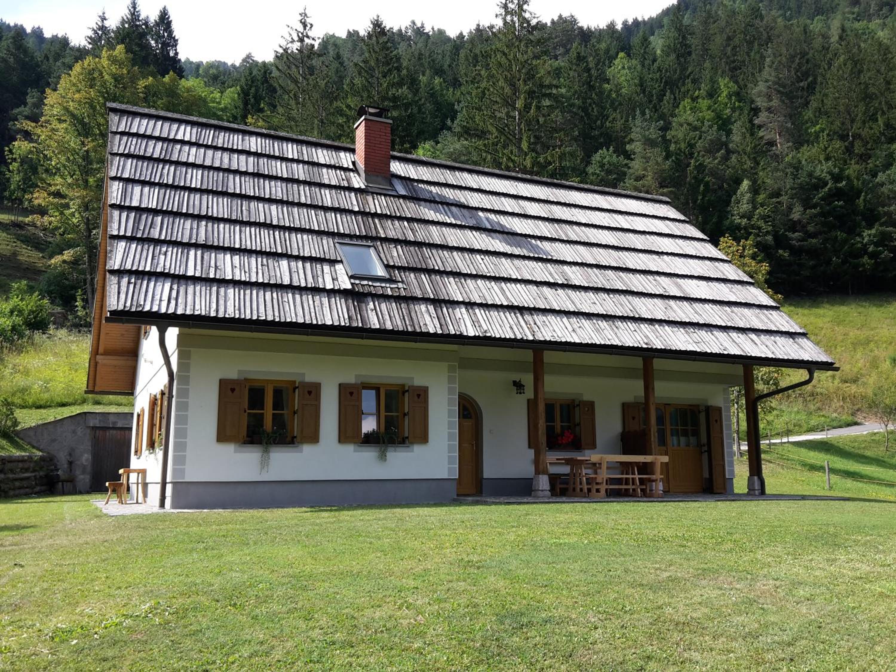 Photo 11