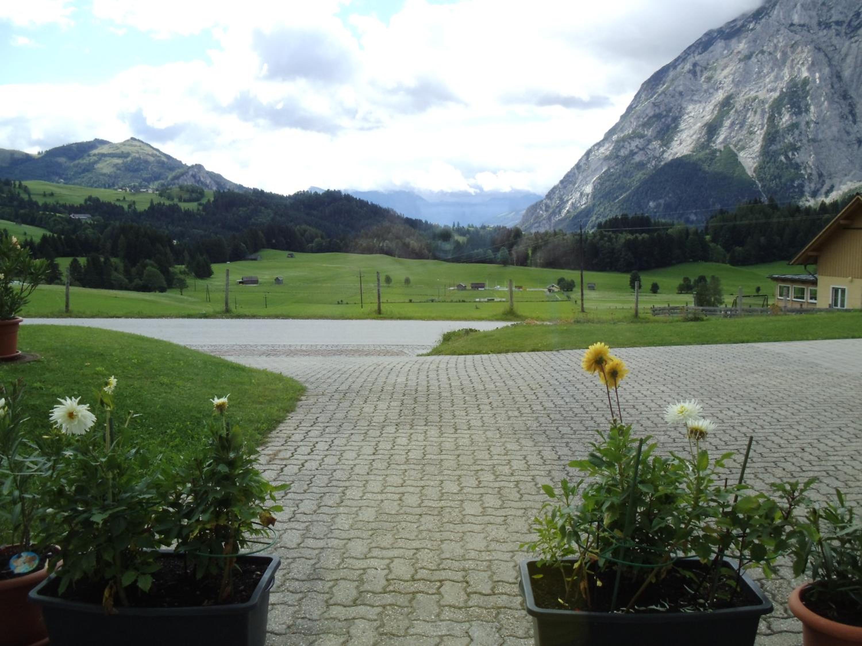 Weideblick