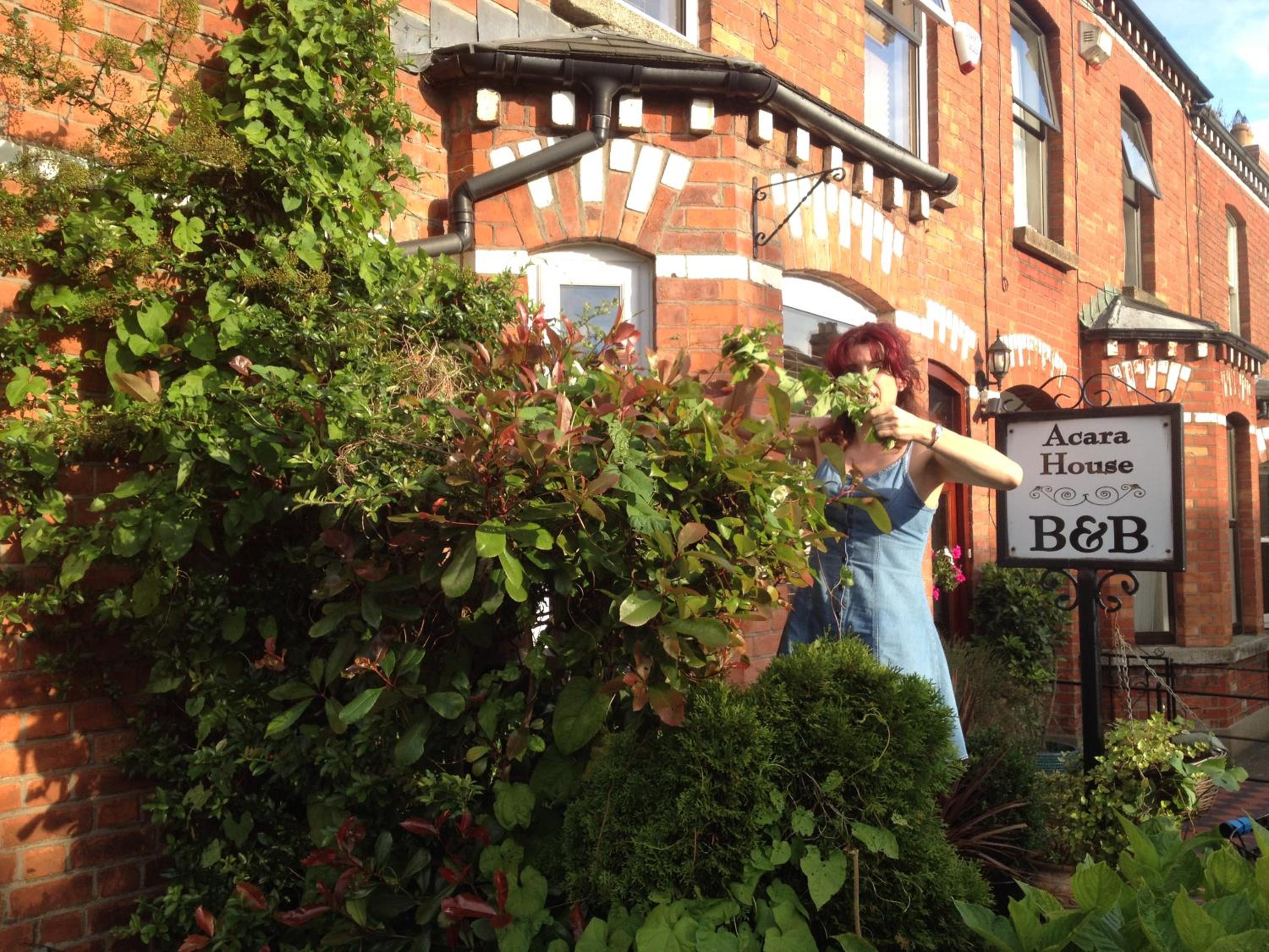Acara House B&B