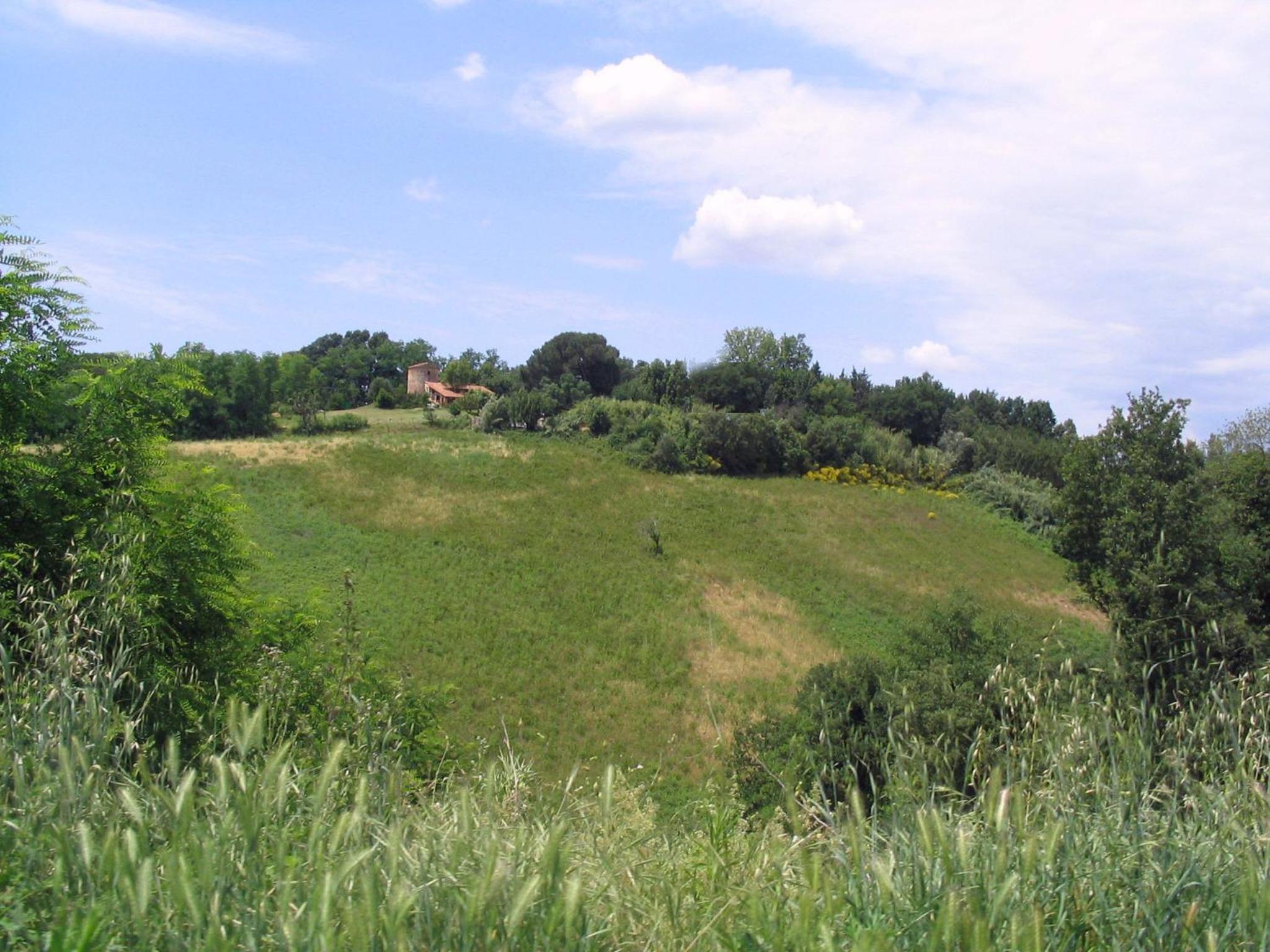 Photo 26