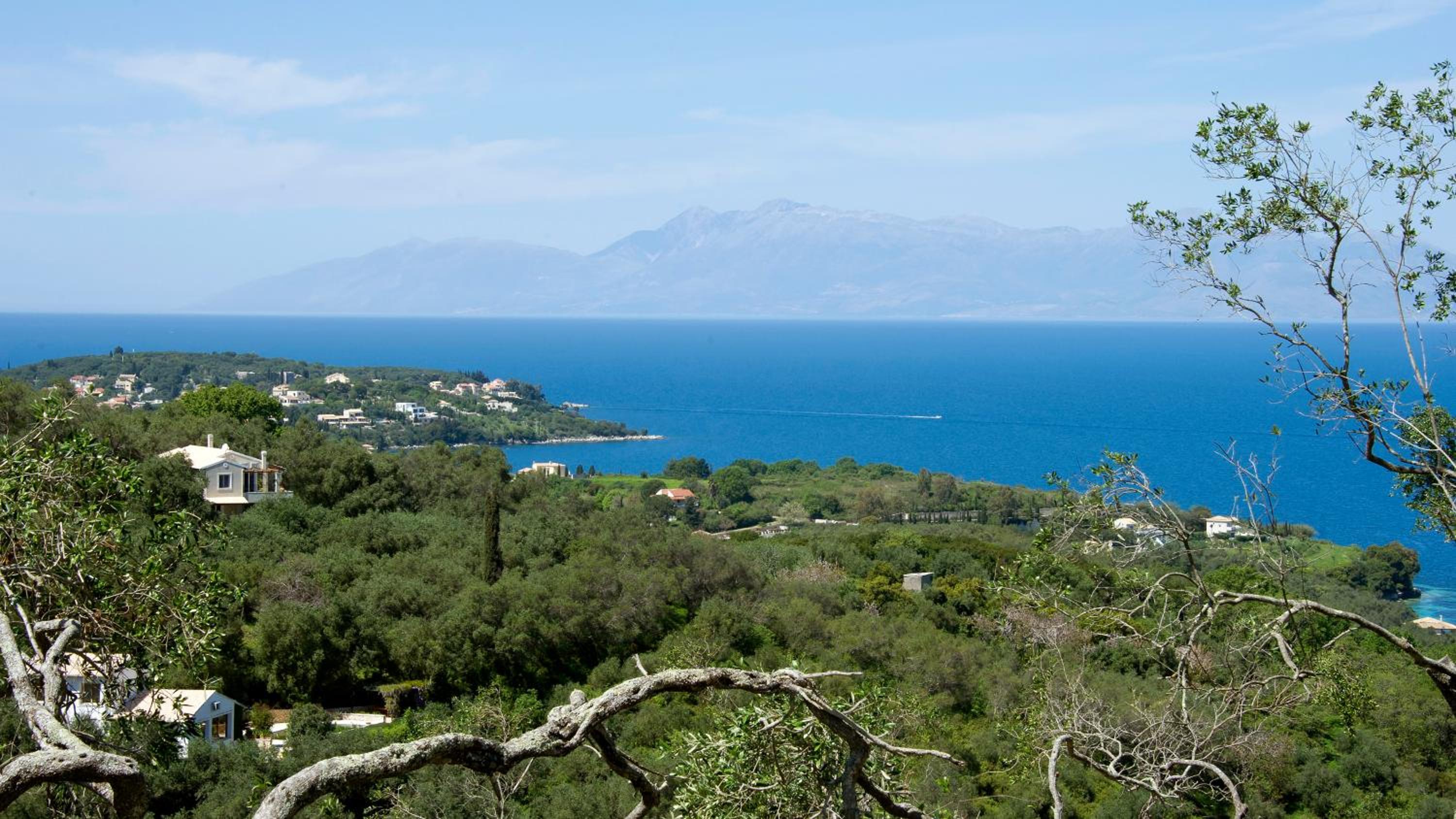 Corfu Erimitis photo 5