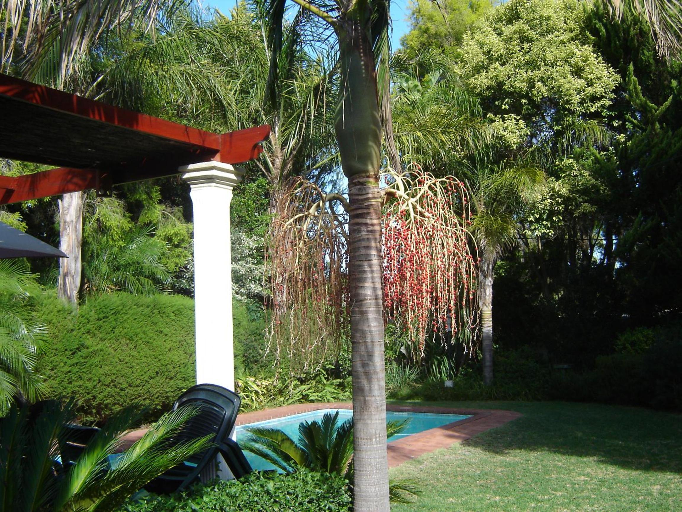 Photo 32