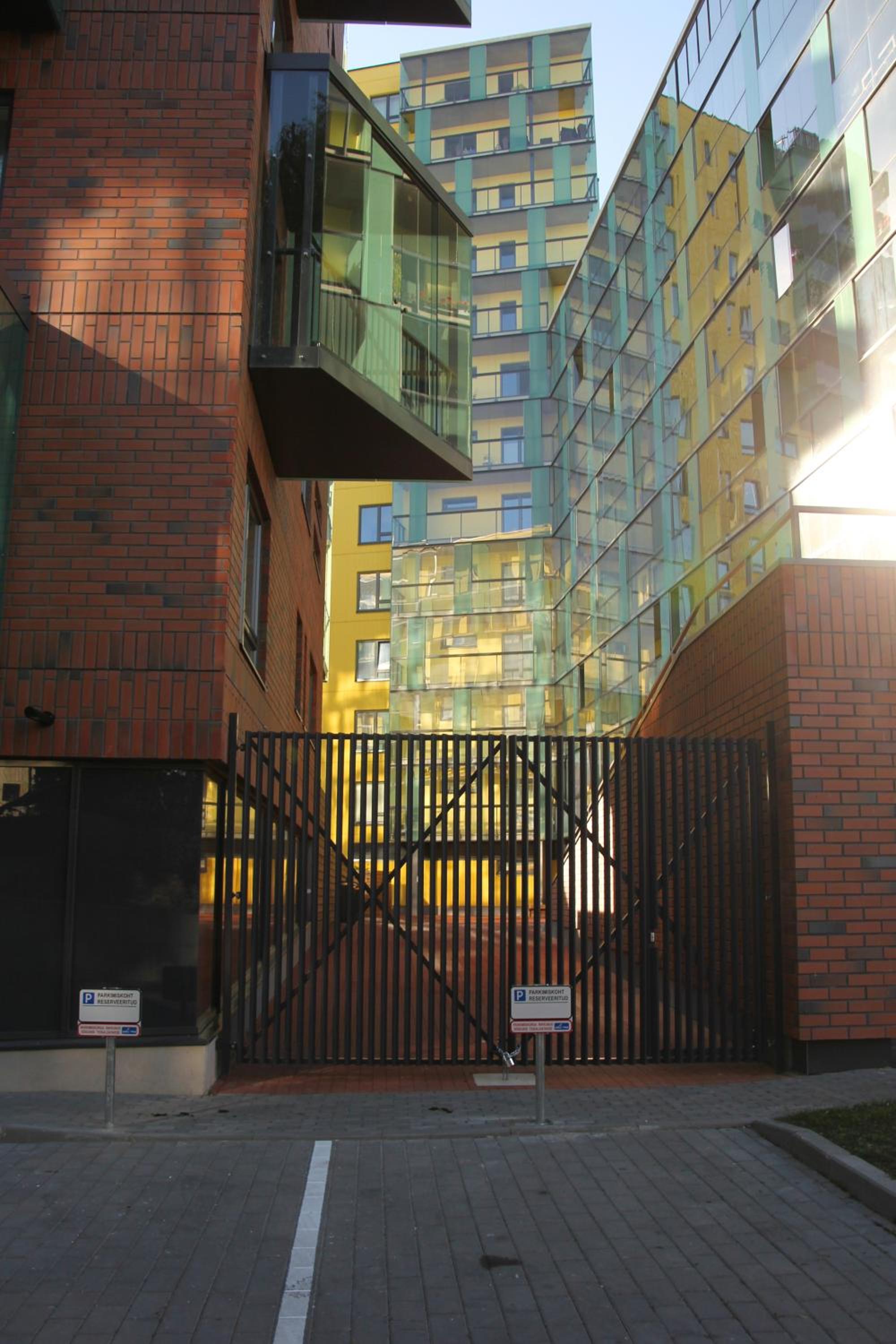 Photo 8