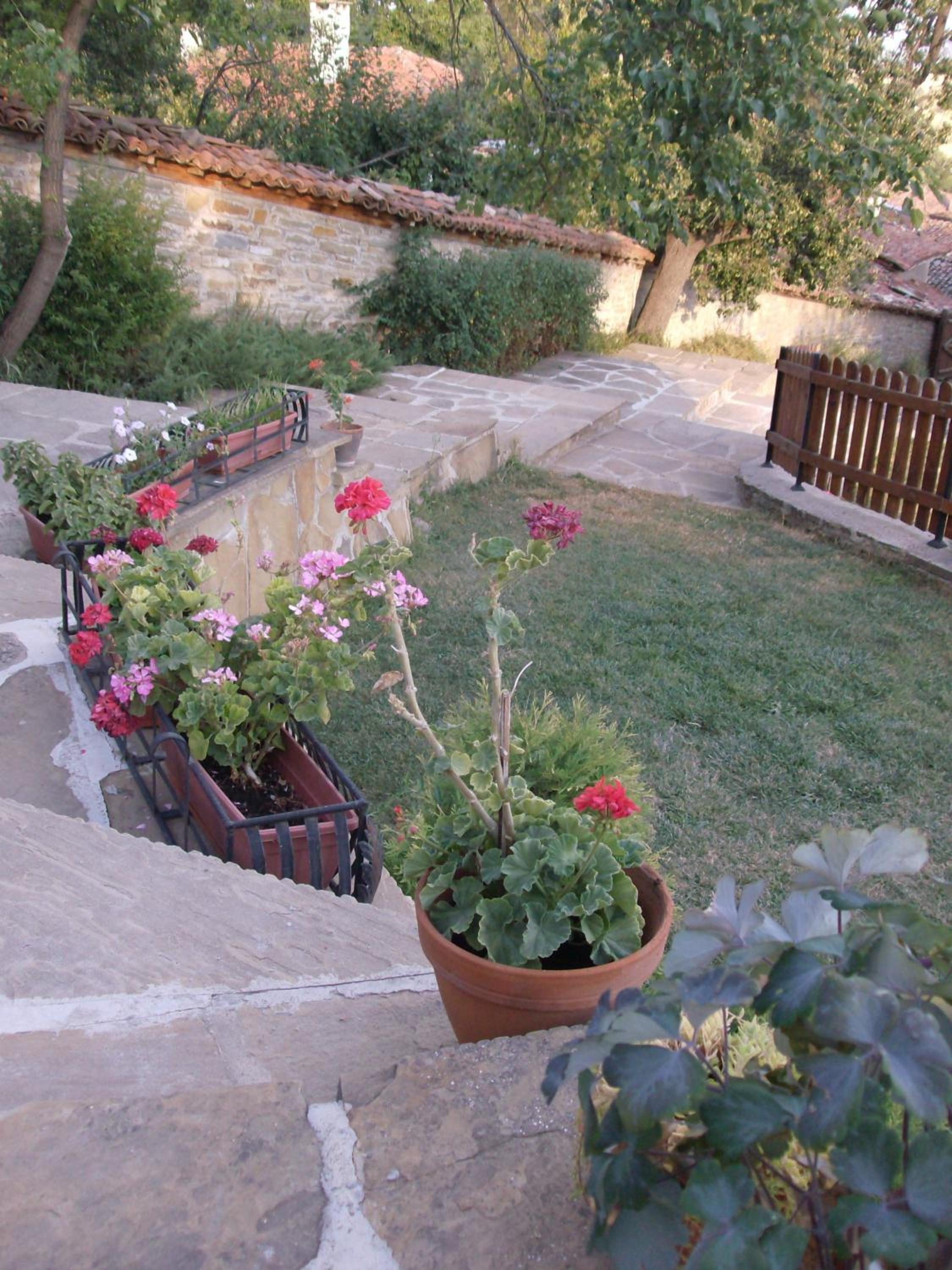 Guest House Zarkova Kushta