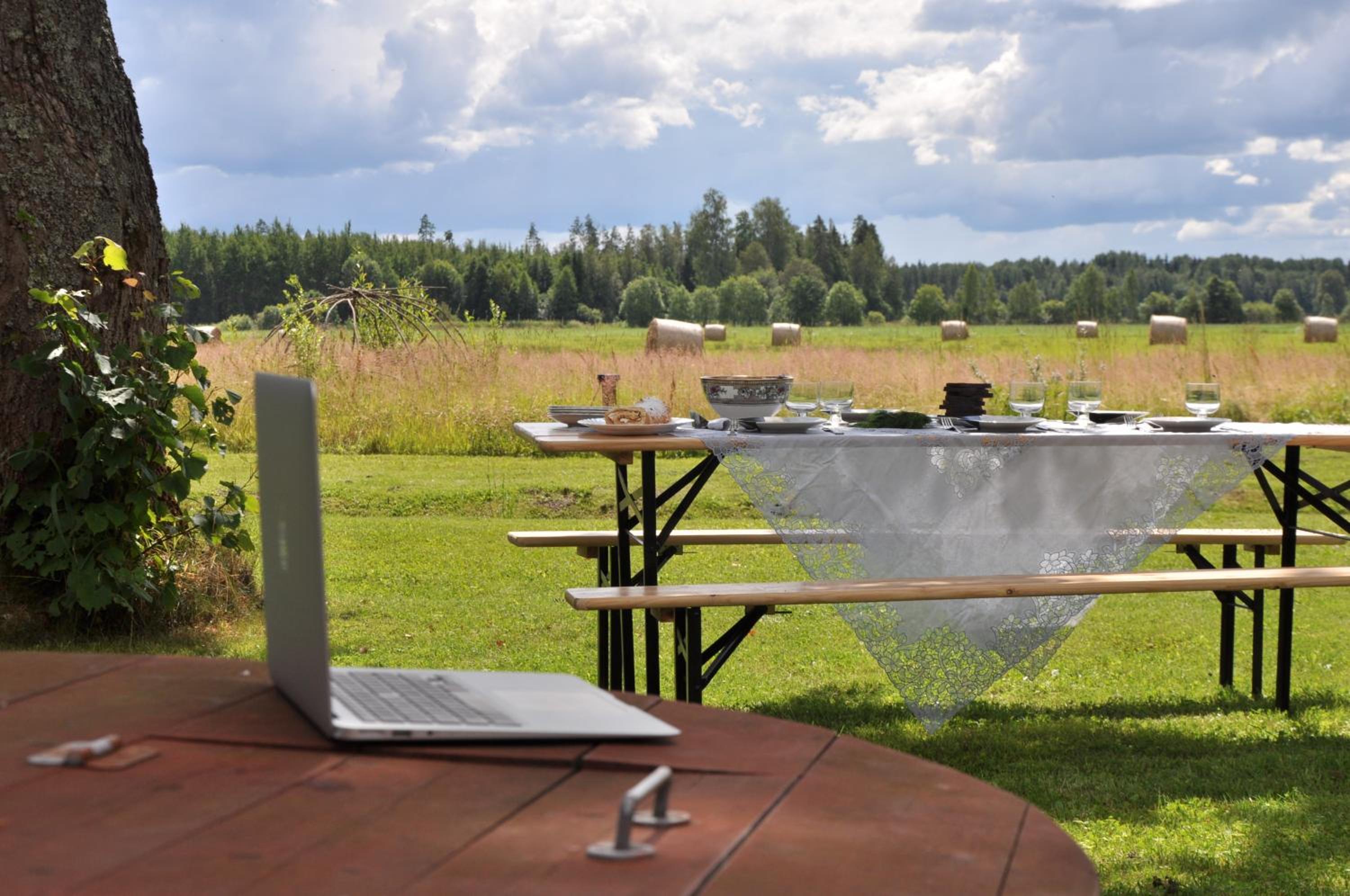 Põnka Guesthouse view 3