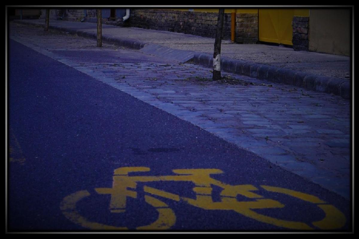Photo 45