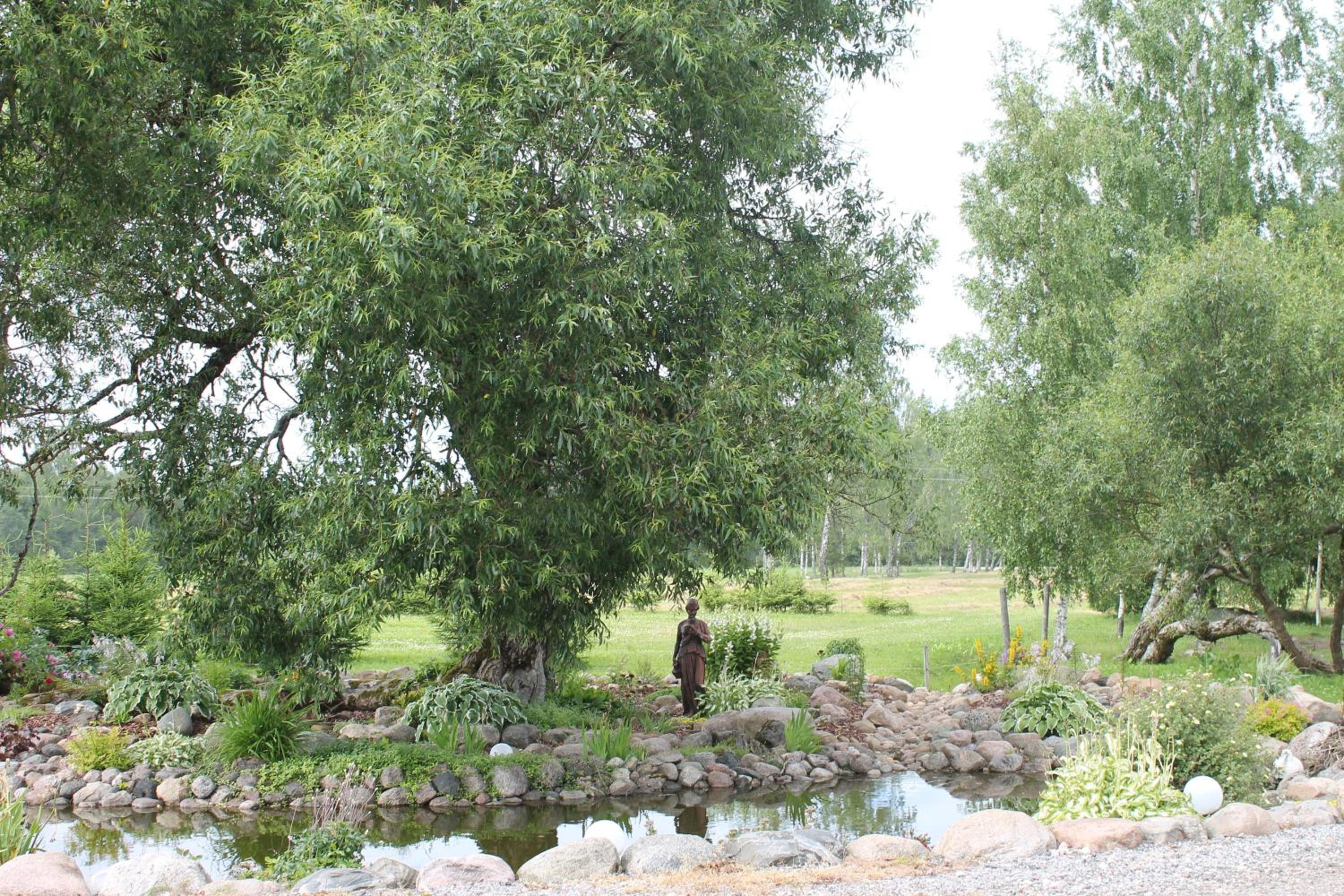 Raamatu puhkemaja view 4