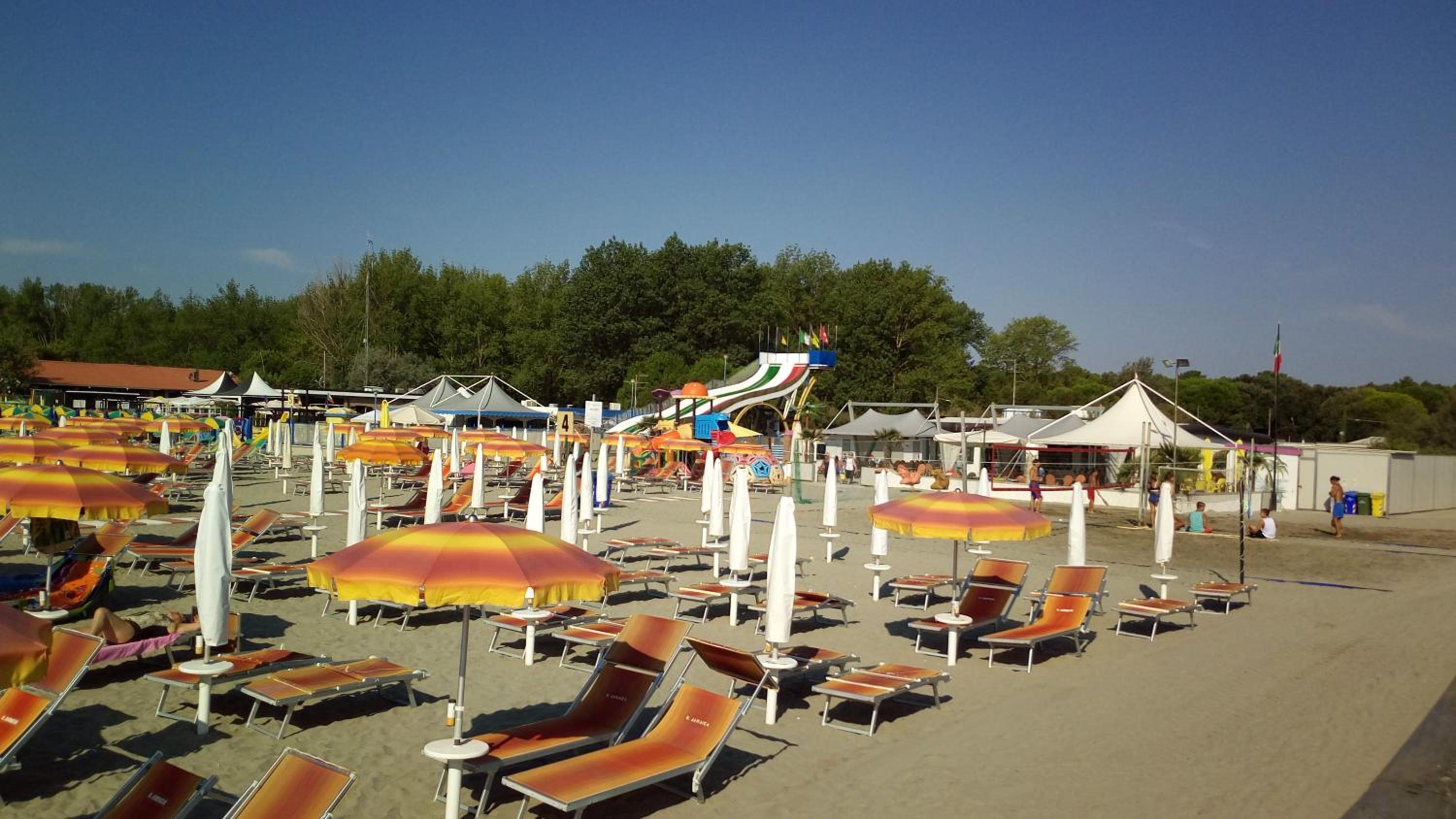 Mare Pineta view 5