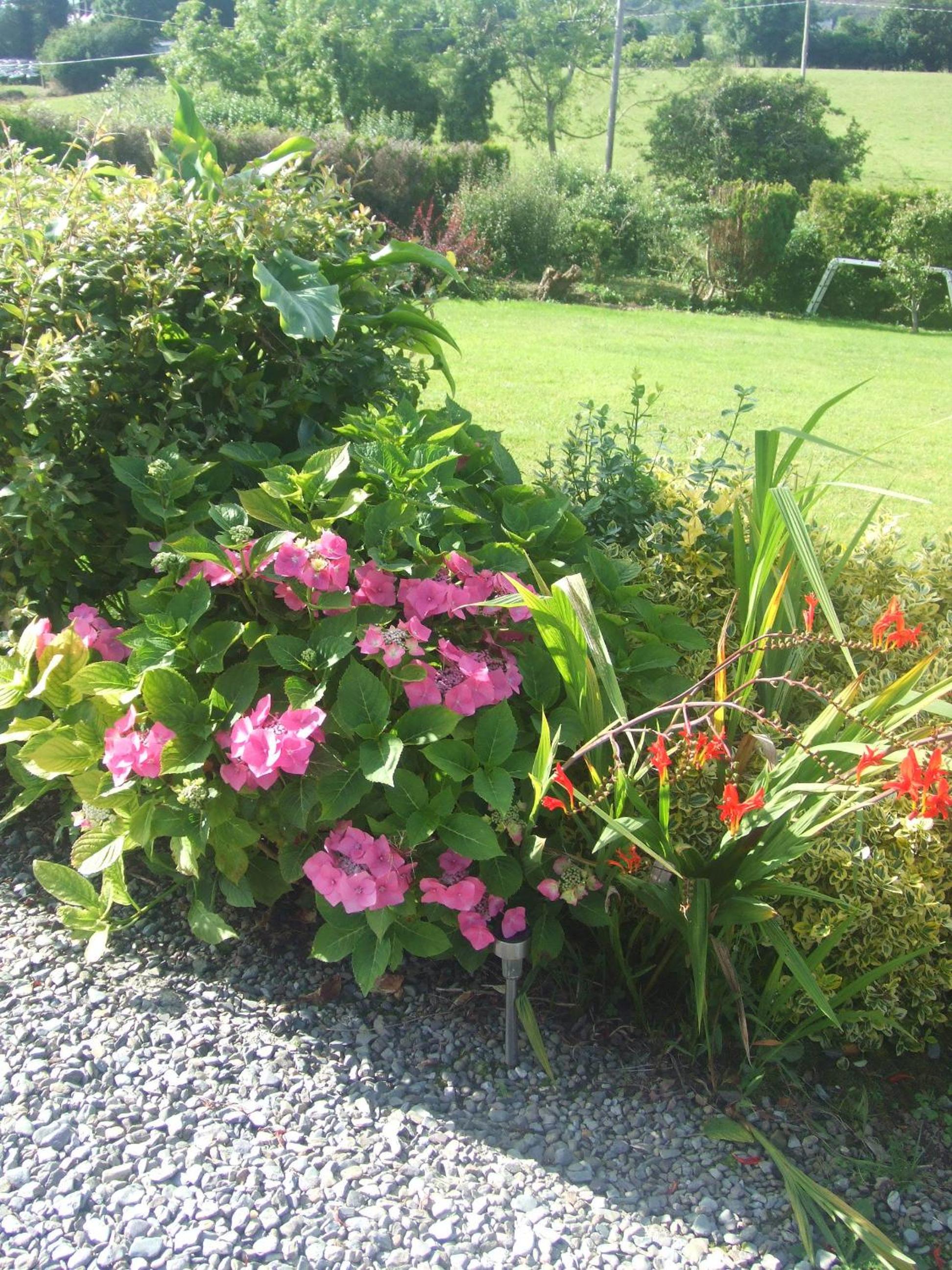 Photo 29