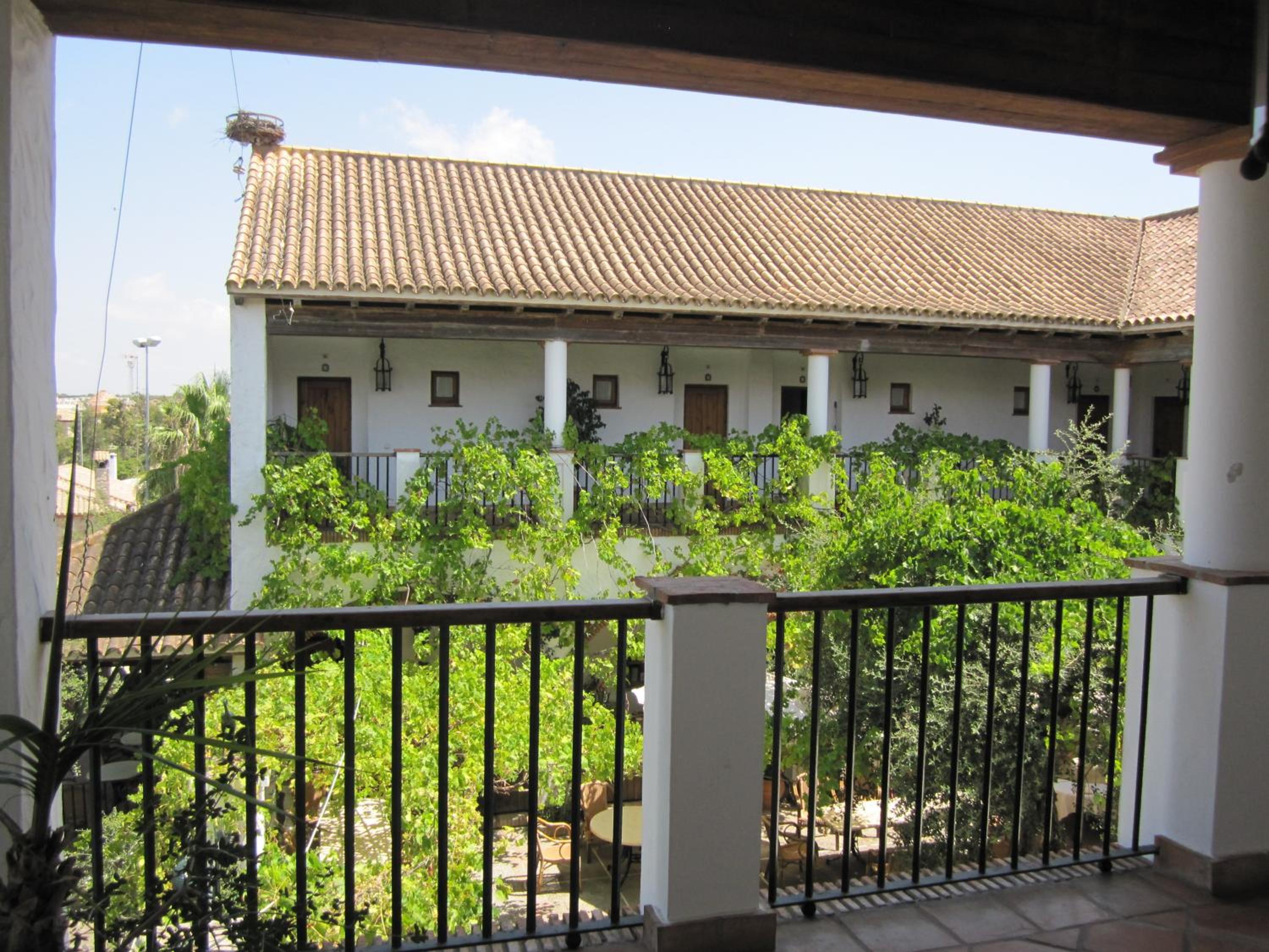 Photo 21