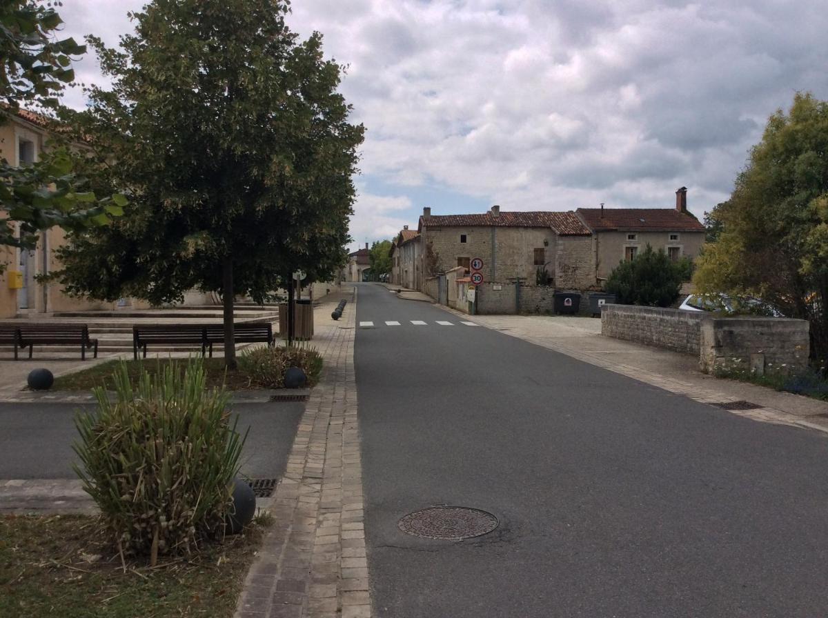 Photo 19