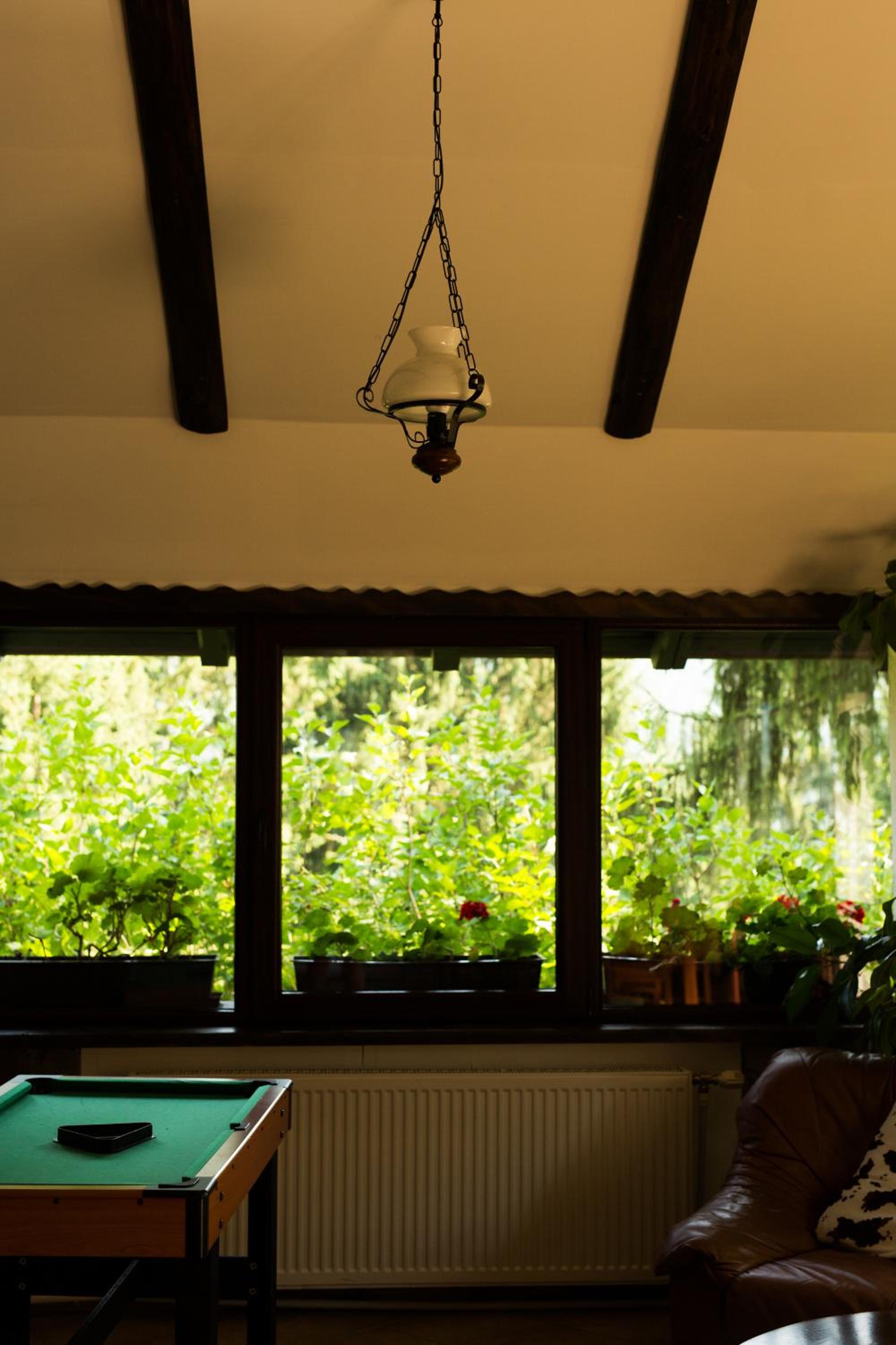 Pension Cabana Ionela