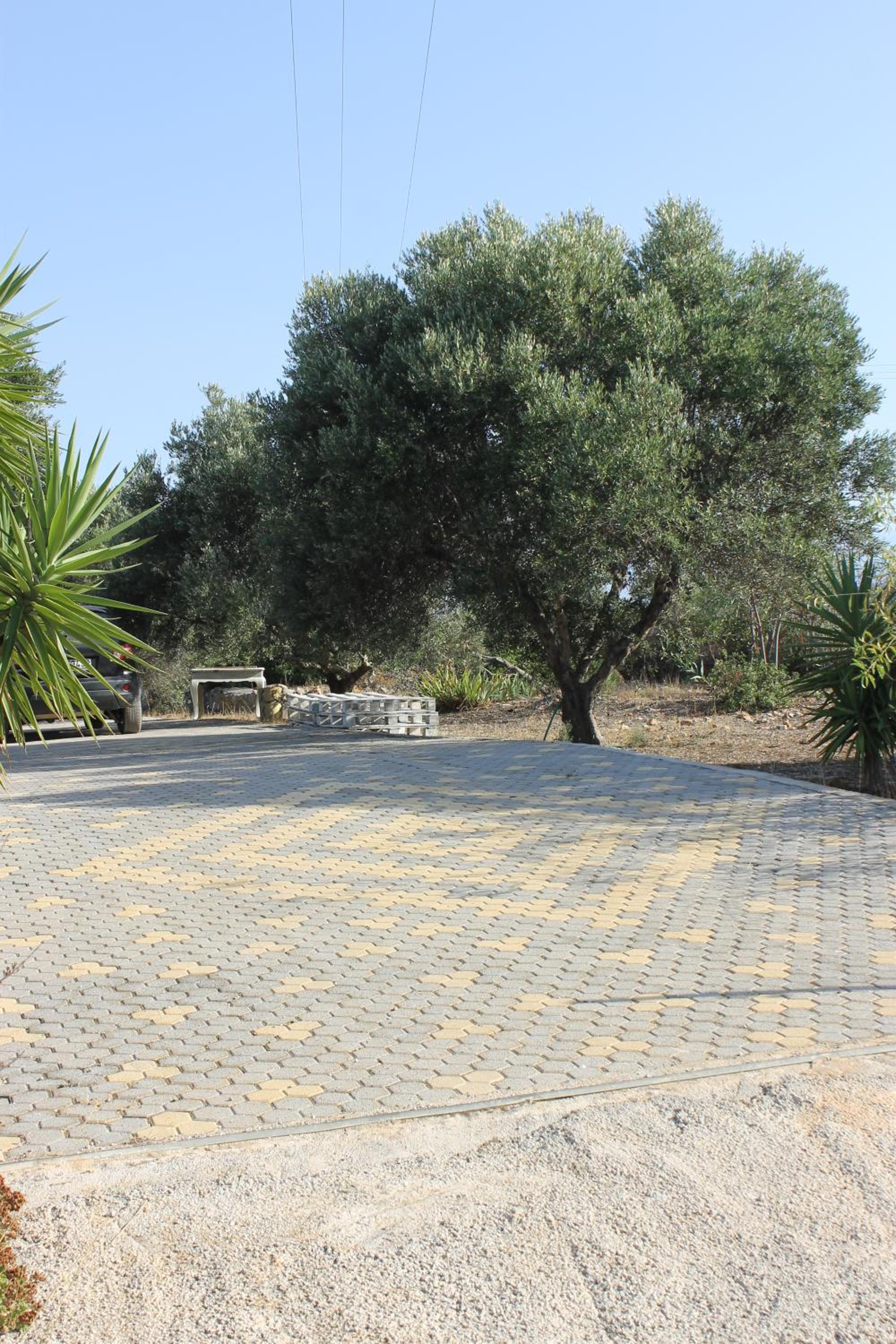Katy's place