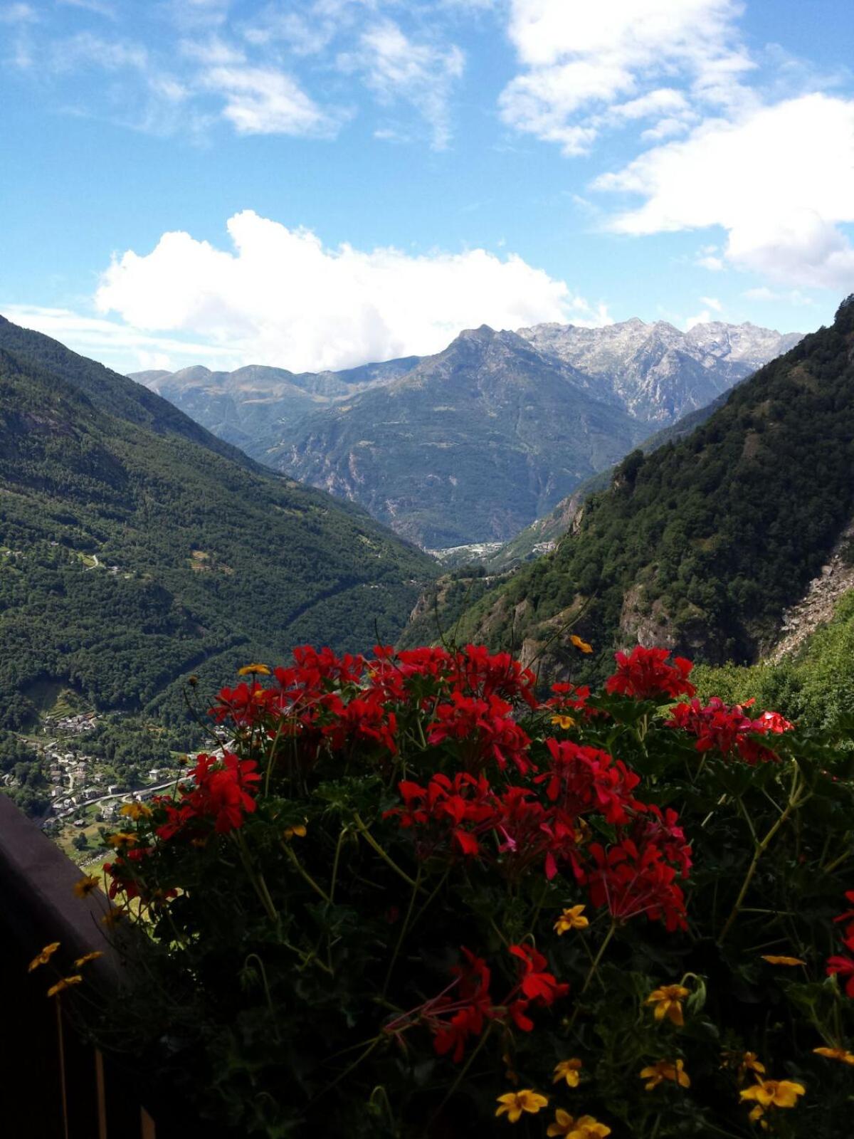 Le Petit Coeur view 3