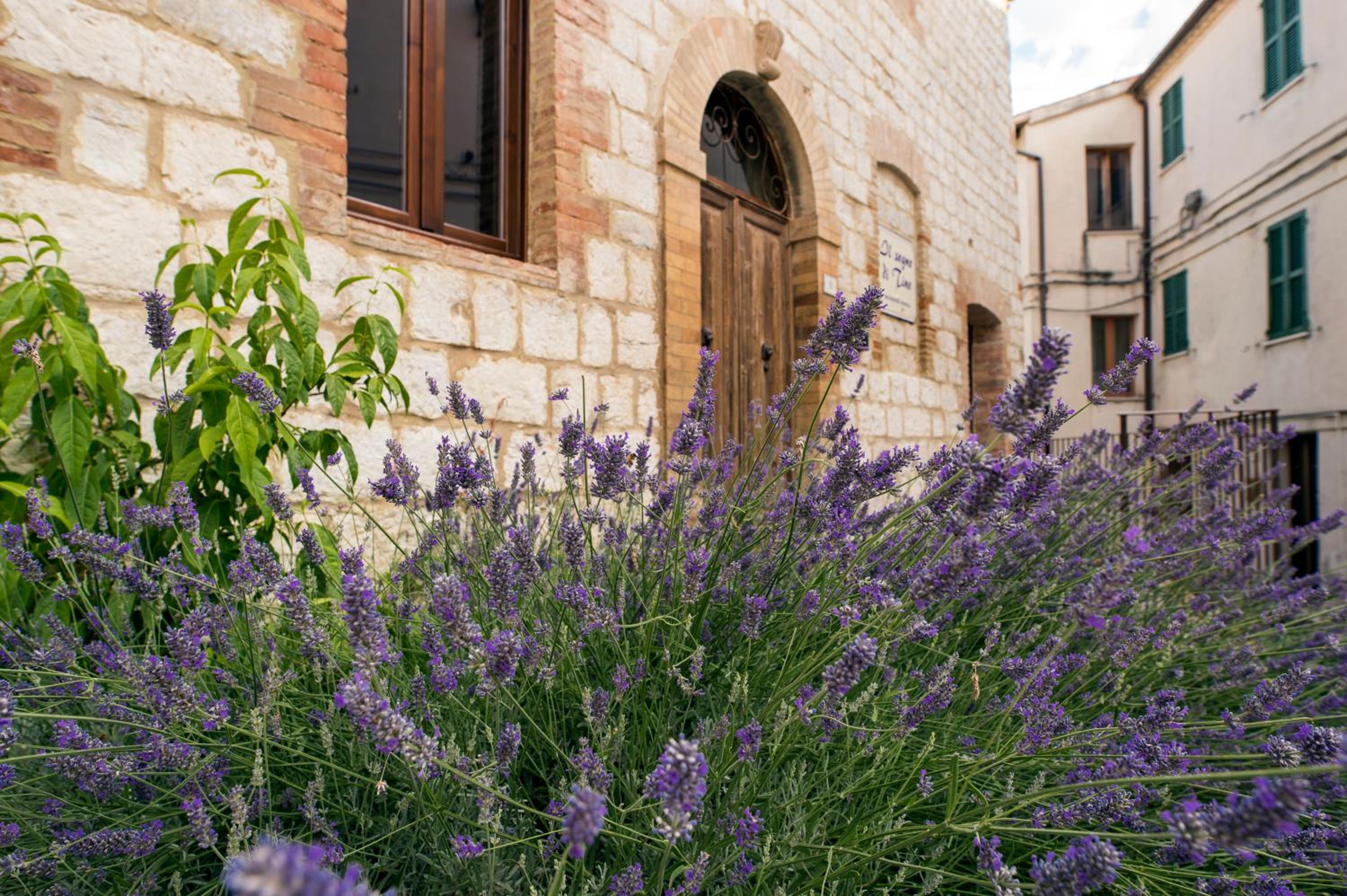 il sogno di Tino view 2