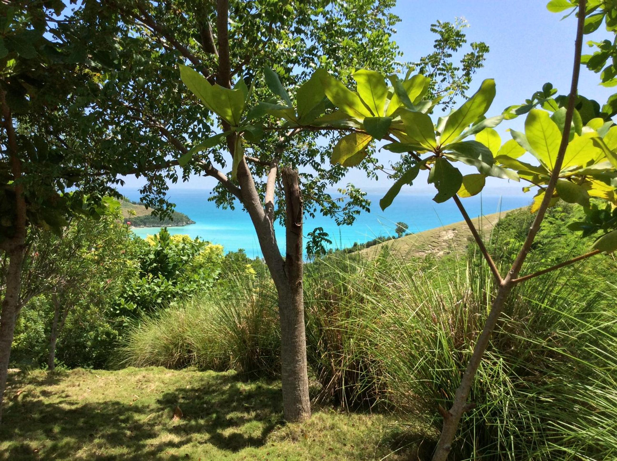 Suites la Colline