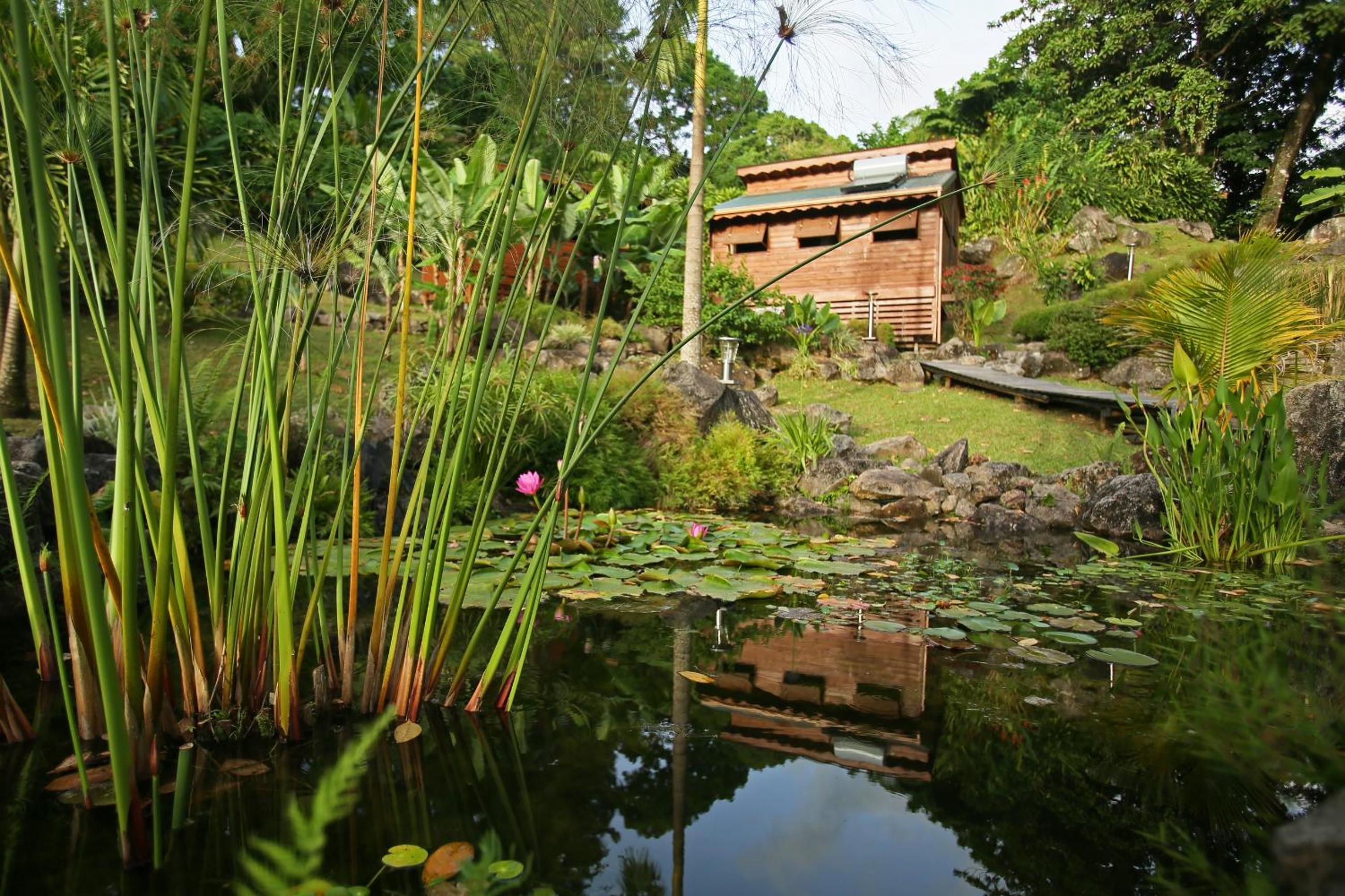 Les Bananes Vertes Ecolodges - Photo 7