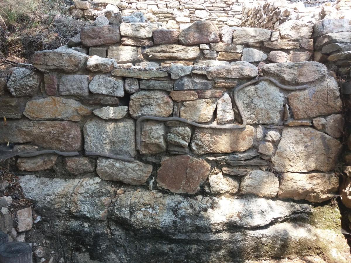 Photo 36