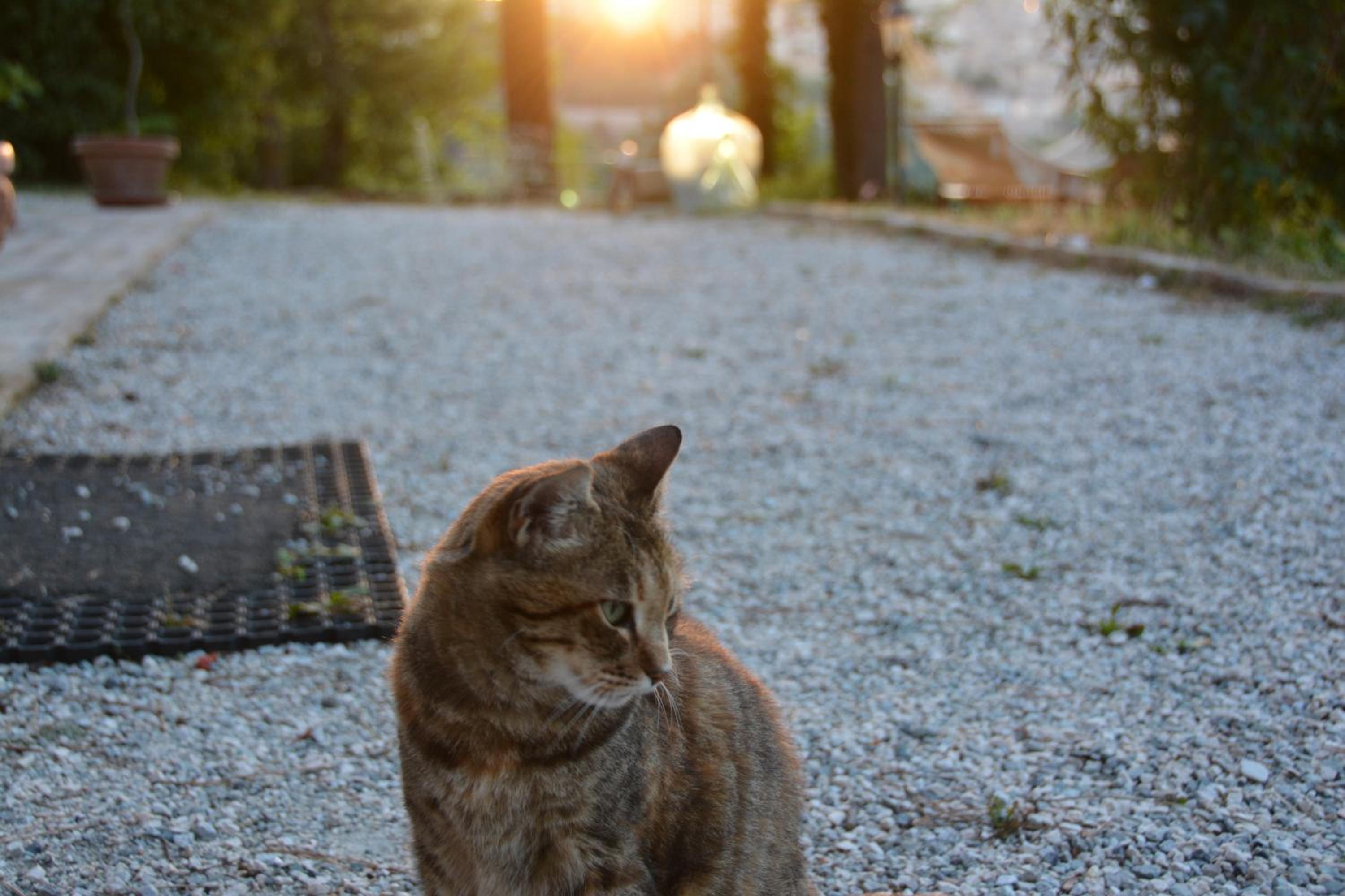 Ca'Lavalle B&B