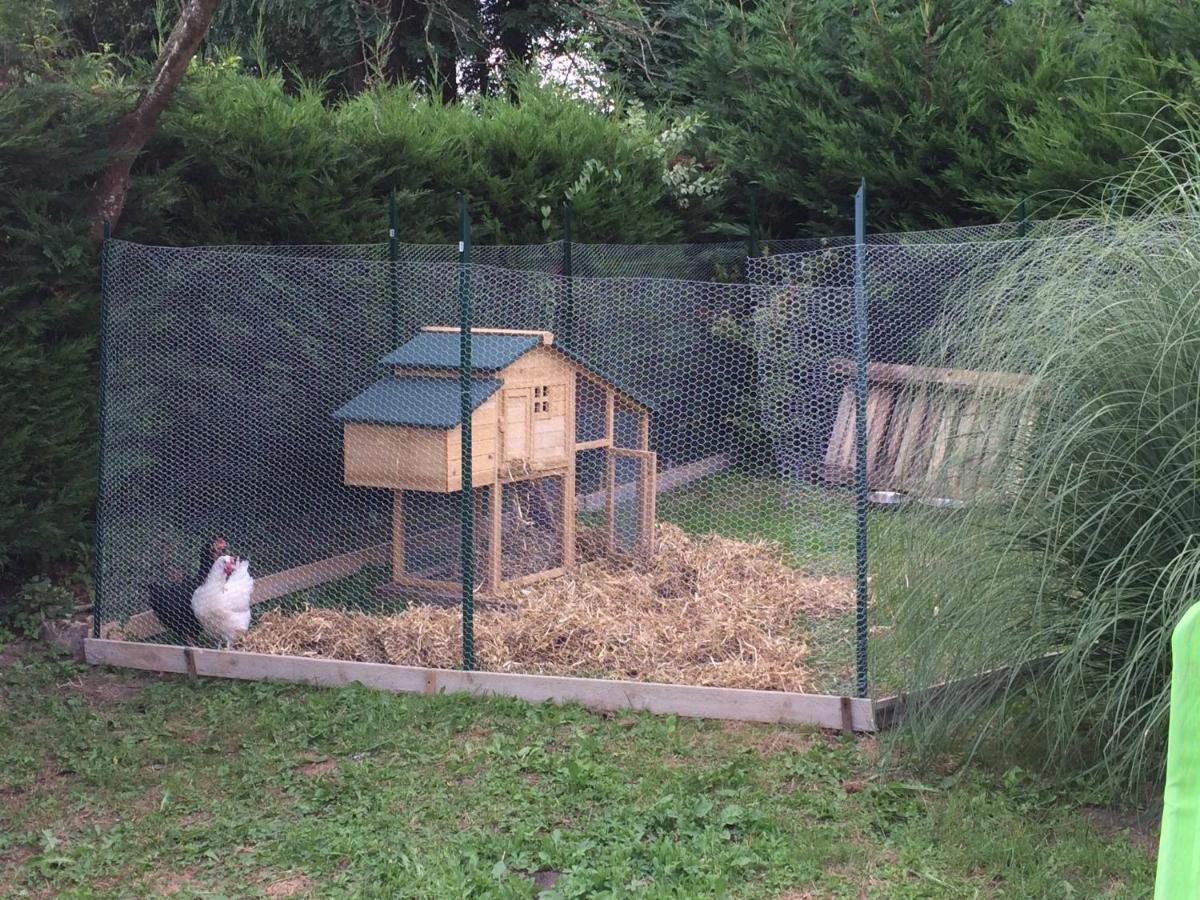 Photo 33