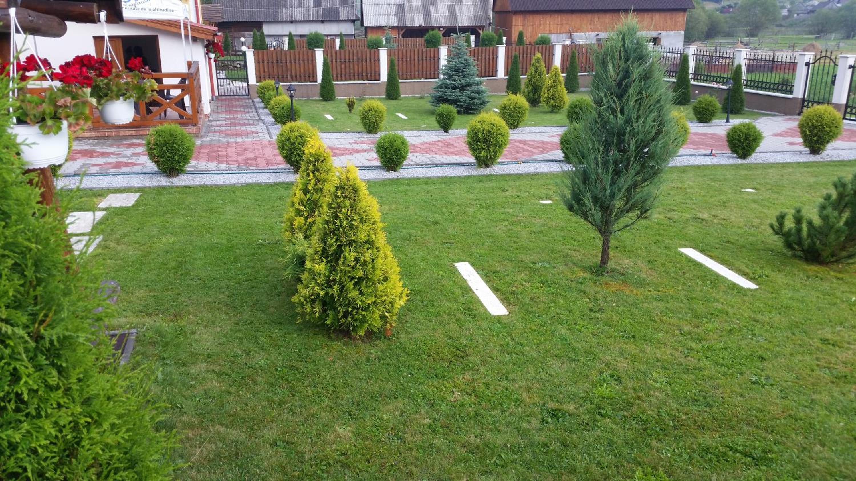 Photo 26